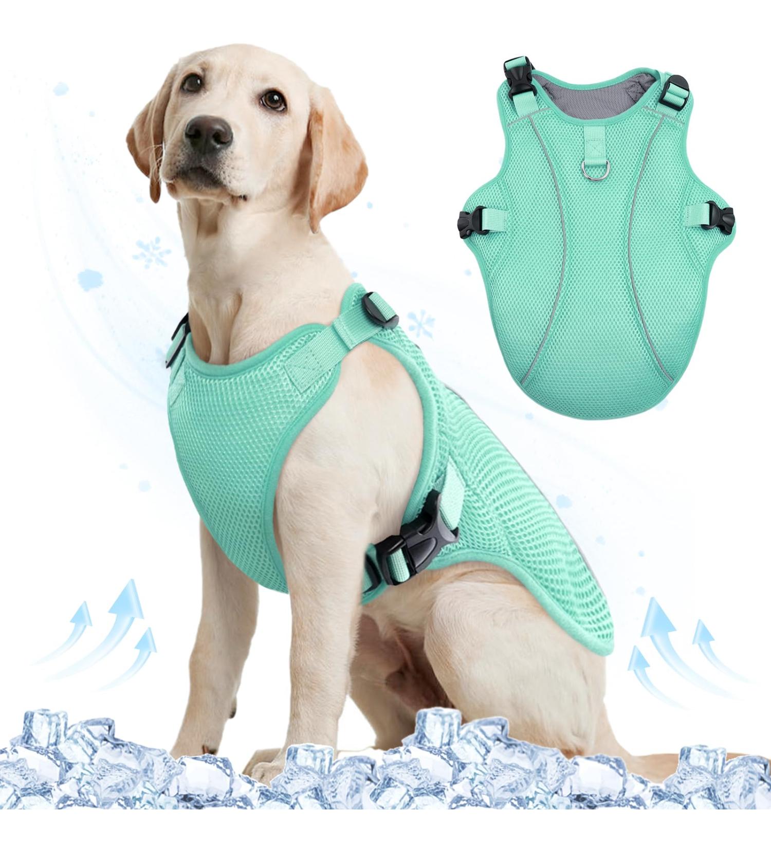 Buy Kuoser Cool Vest for Dogs | Cooling Jacket & Coat | Ideal for Outdoor Activities | Ventilated Dog Cooling Vest in Green - Buy Online on GoSupps.com