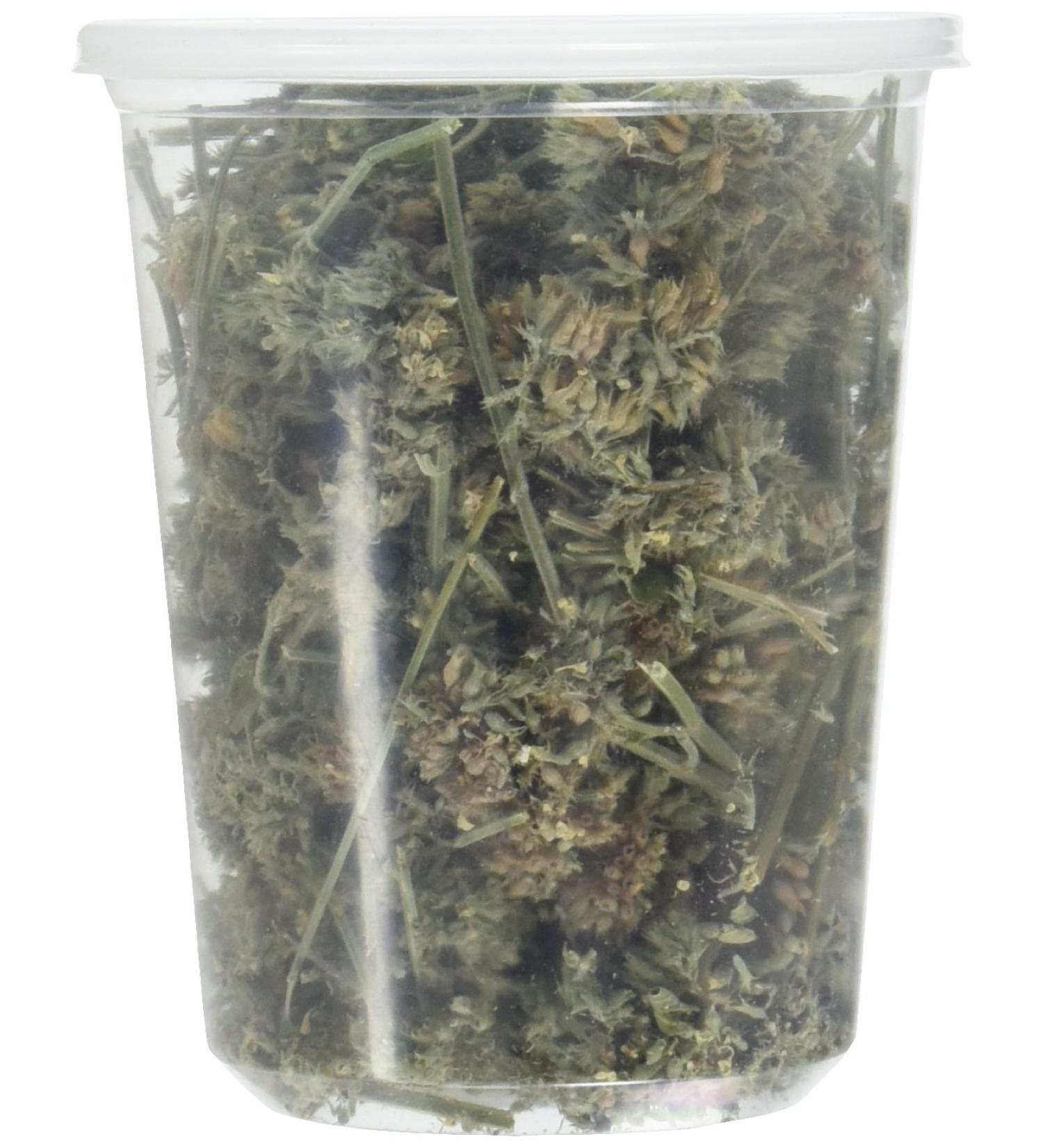 From The Field Catnip Buds 1oz: Premium Organic Catnip for Maximum Fun - Buy Online on GoSupps.com
