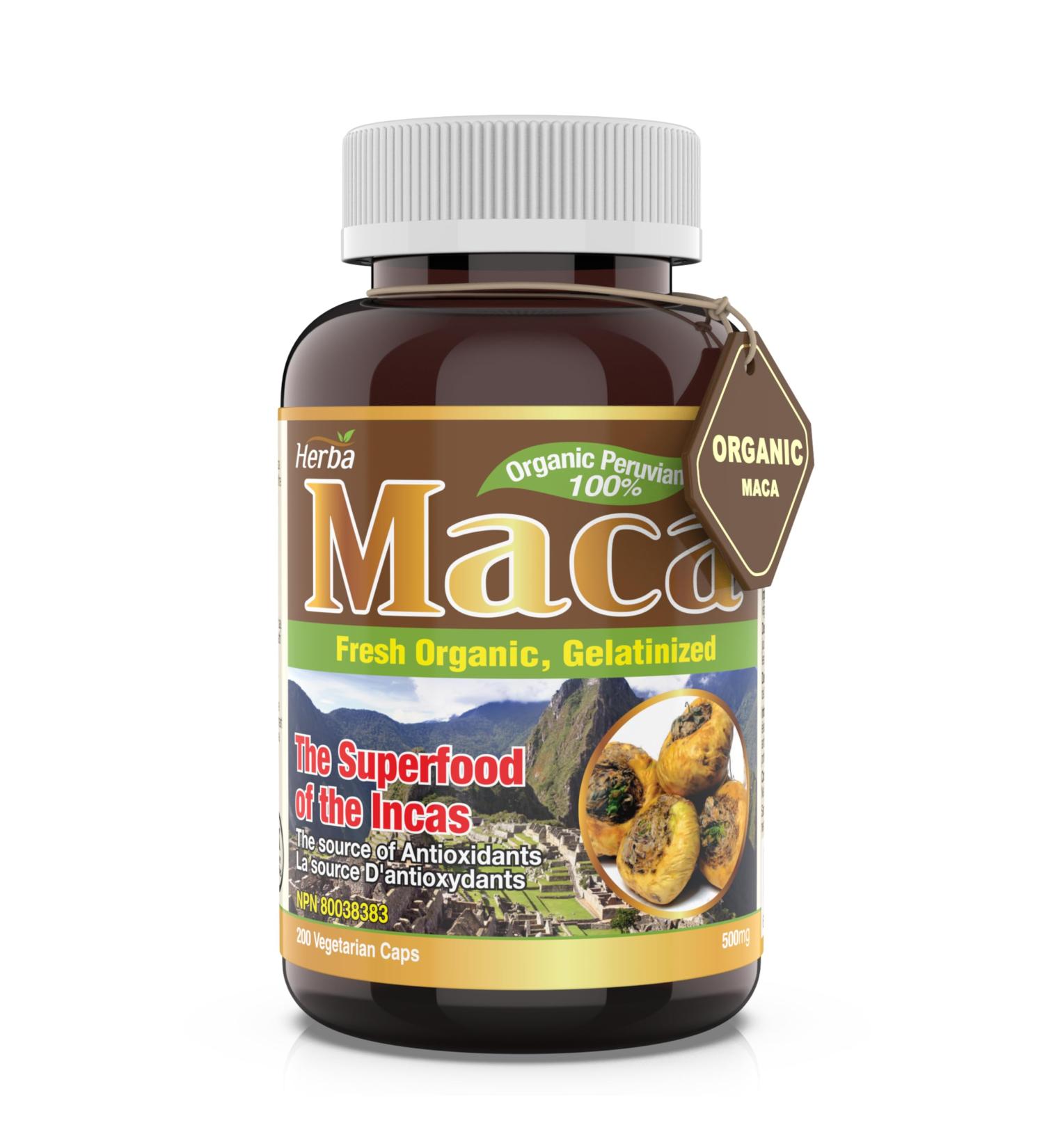 Herba Organic Maca for Men & Women - 200 Capsules | 100% Organic Gelatinized Maca Root | 500mg Peruvian Yellow Maca per Vegetable Capsule | Made in Canada - Buy Online on GoSupps.com