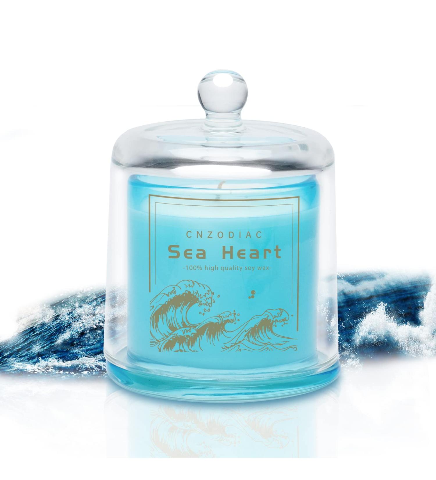 Luxury Sea Salt Scented Candles 9 oz Natural Soy Wax Aromatherapy Gifts for Women | 50 Hours Burn Time in Elegant Blue Jar - Buy Online on GoSupps.com