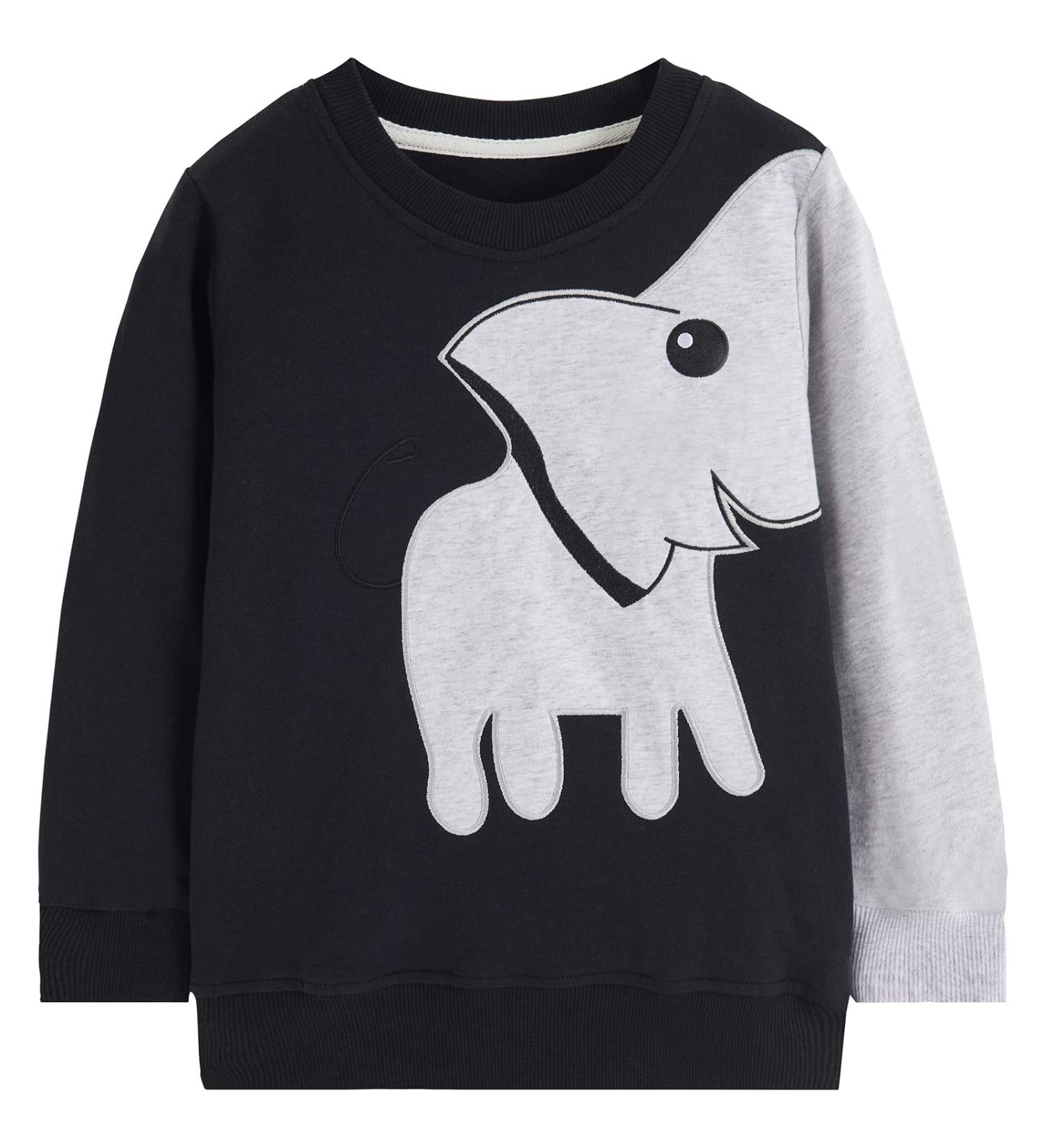 Kids Dinosaur Sweatshirt | Cotton Long Sleeve Pullover for Boys & Girls 5-6 Years | Casual Toddler Top - Buy Online on GoSupps.com