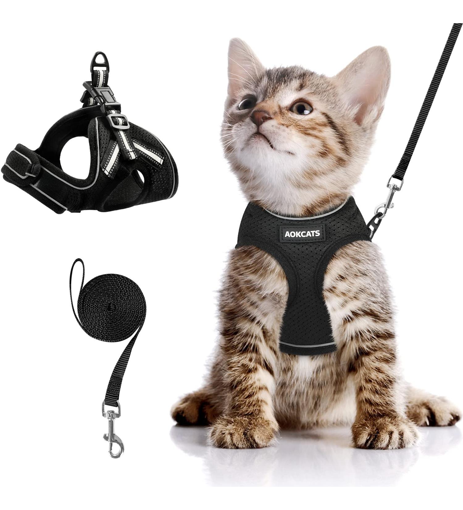 AOKCATS Cat Harness and Leash Set - Escape Proof Adjustable Vest for Small Cats - Buy Online on GoSupps.com