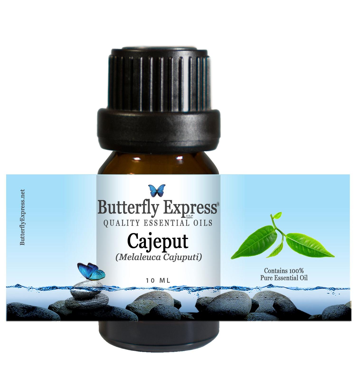 Cajeput Essential Oil 10ml - 100% Pure by Butterfly Express