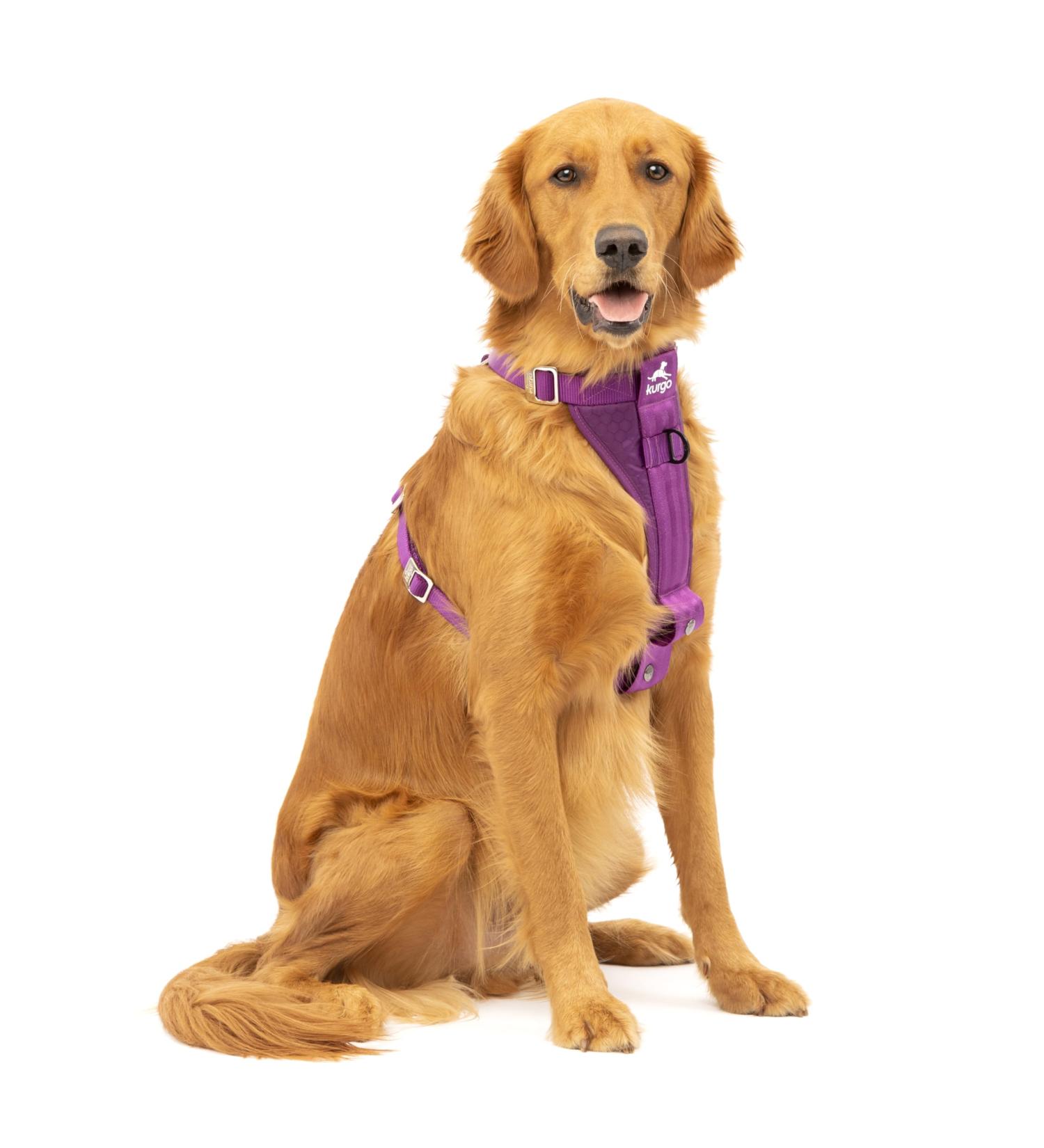 Kurgo Tru-Fit Dog Harness - Crash Tested Car Seat Belt for Dogs 2-5 kg | XL Purple - Buy Online on GoSupps.com