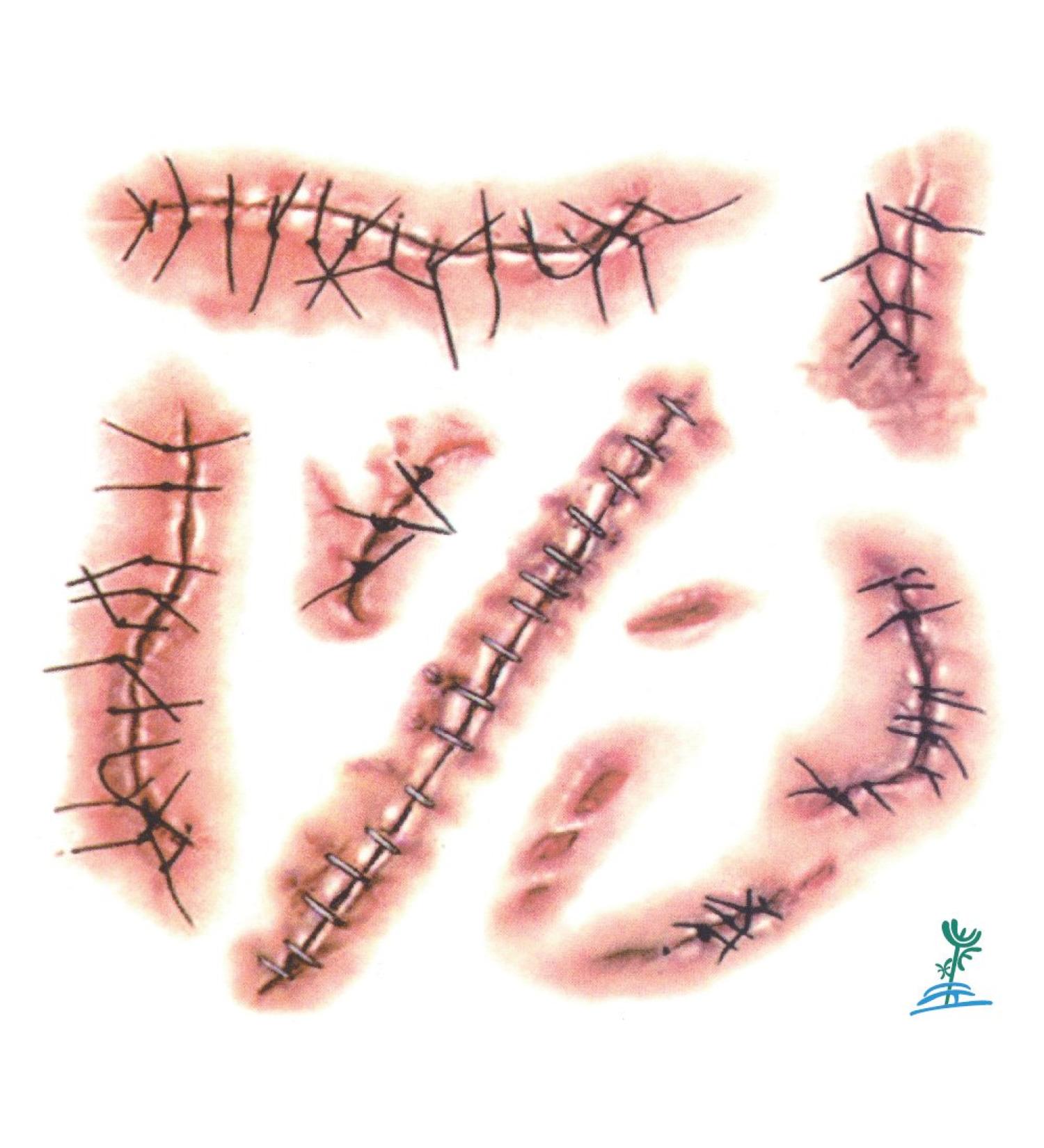 Yeeech Halloween Body Face Scar Realistic Temporary Tattoos Sticker for Fools Day Fun - Buy Online on GoSupps.com