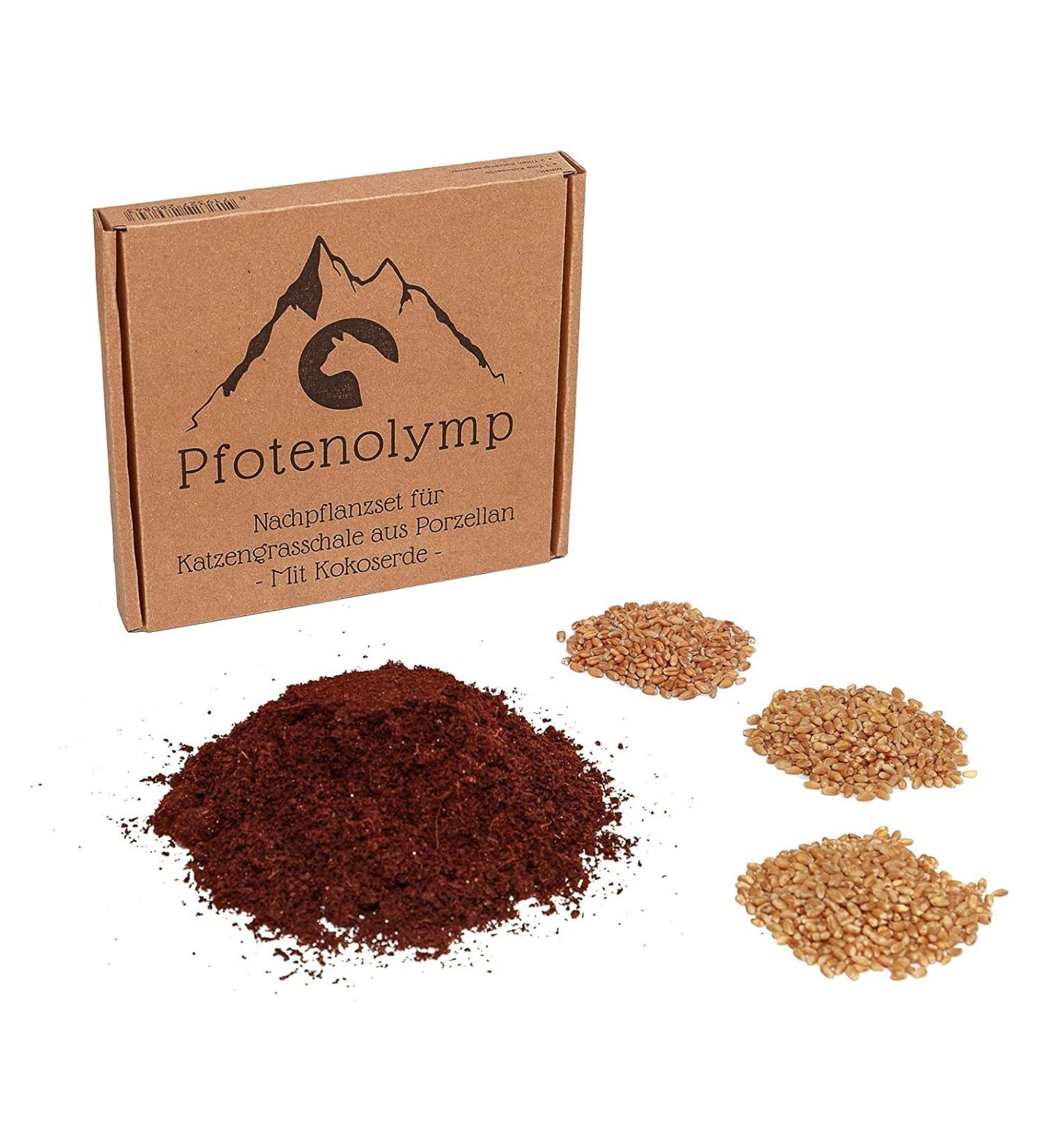 Buy PfotoLymp Cat Grass Re-Plant Set - Wheat Grass Seed & Earth for DIY Cat Grass in Porcelain Bowls - Buy Online on GoSupps.com