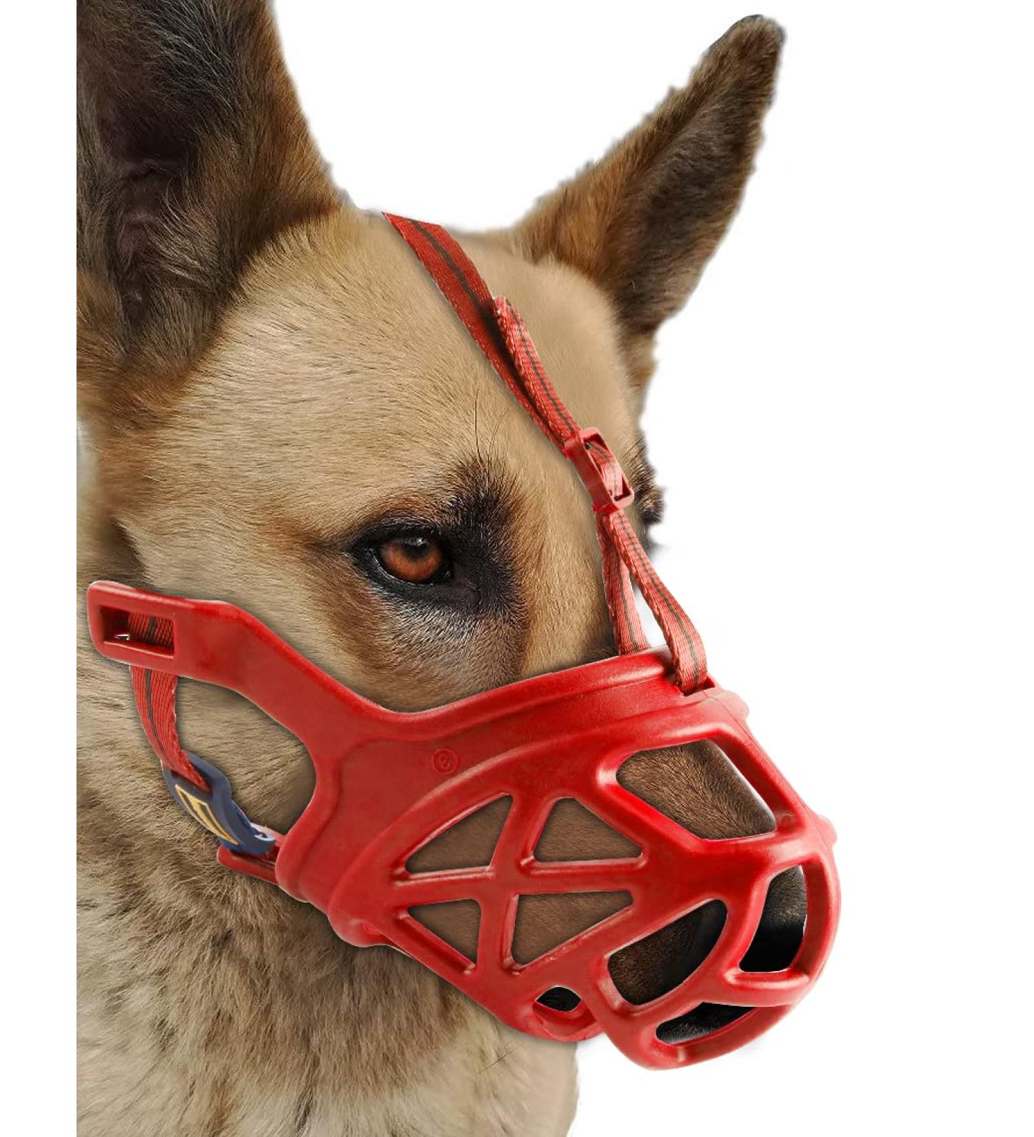 Breathable Basket Muzzle for Dogs - Stop Biting Barking & Chewing | Suitable for Small Medium & Large Dogs - Aggressive Dog Muzzle (Large Red) - Buy Online on GoSupps.com