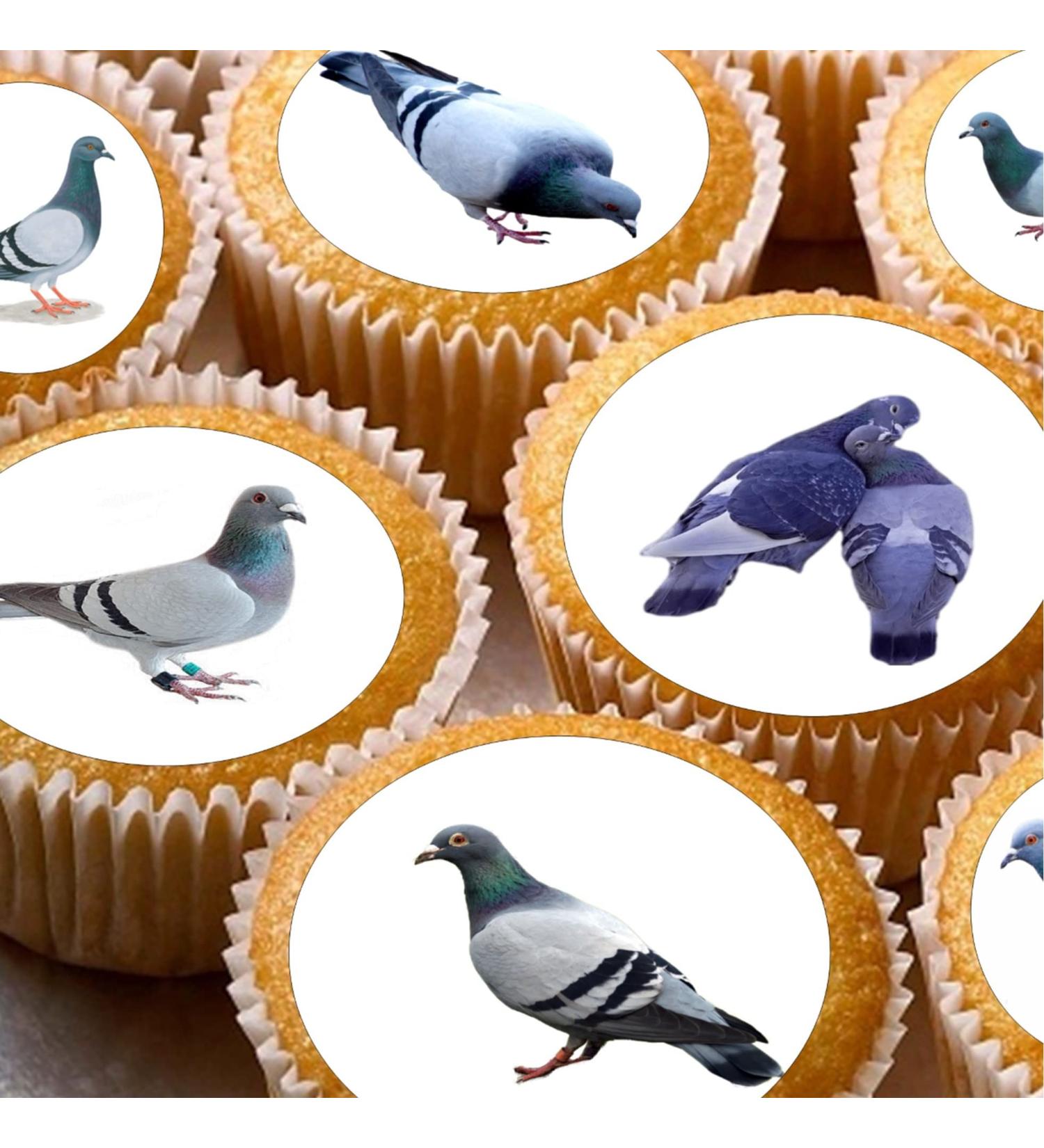 cakes 24 edible PRE CUT Pigeons British Birds Pigeon kids childrens party decorations Wafer Paper Cupcake Topper Cake - Buy Online on GoSupps.com