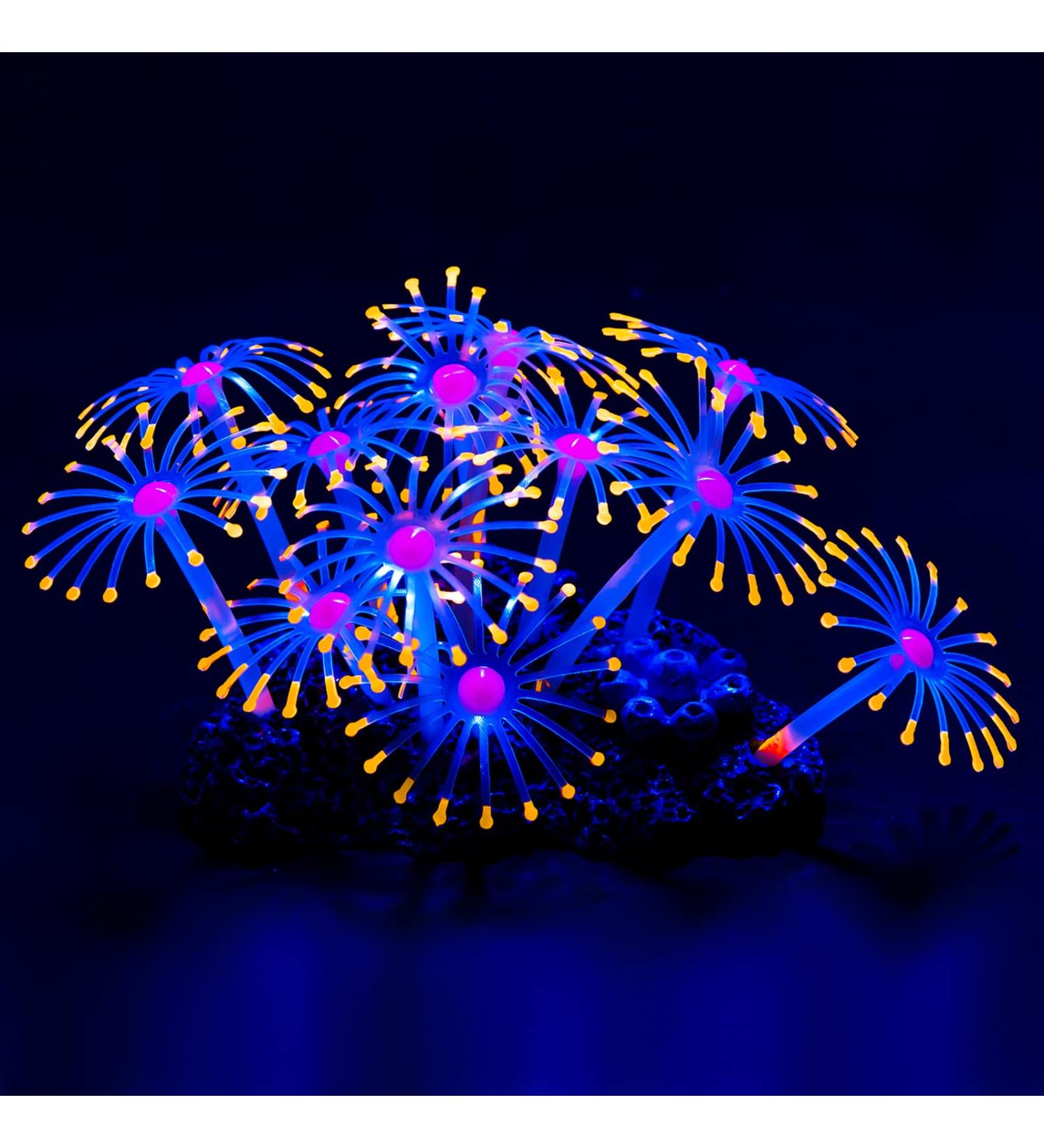 Pawfly Glowing Effect Artificial Coral Plant Decor Ornament for Fish Tank Aquarium Orange Flower Coral - Buy Online on GoSupps.com