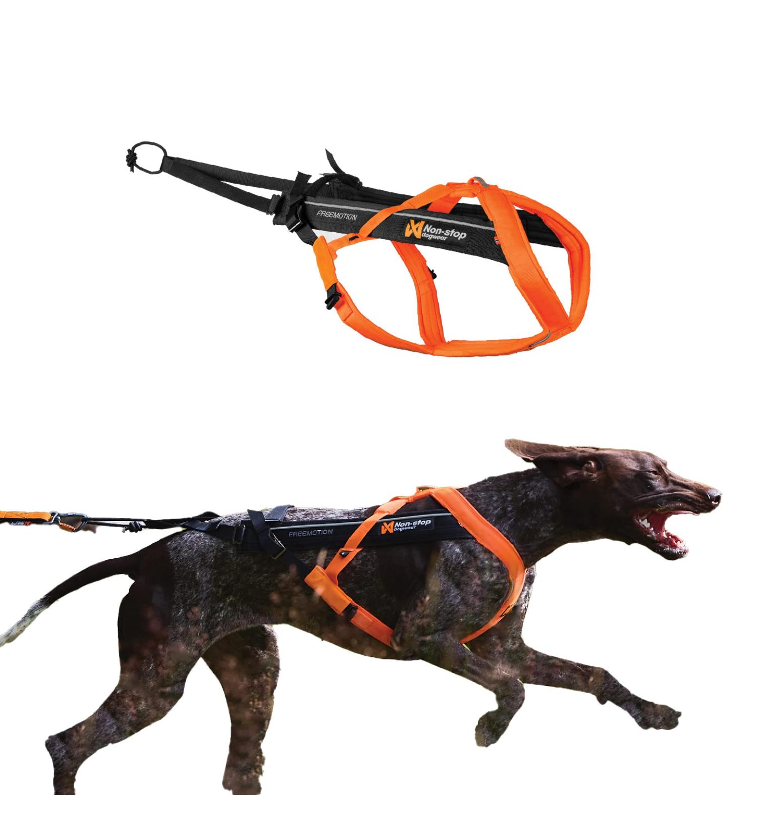 Non-stop Dogwear Freemotion Harness 5.0 | Versatile Dog Harness for All Sports | Size 8 Black/Orange - Shop Internationally - Buy Online on GoSupps.com