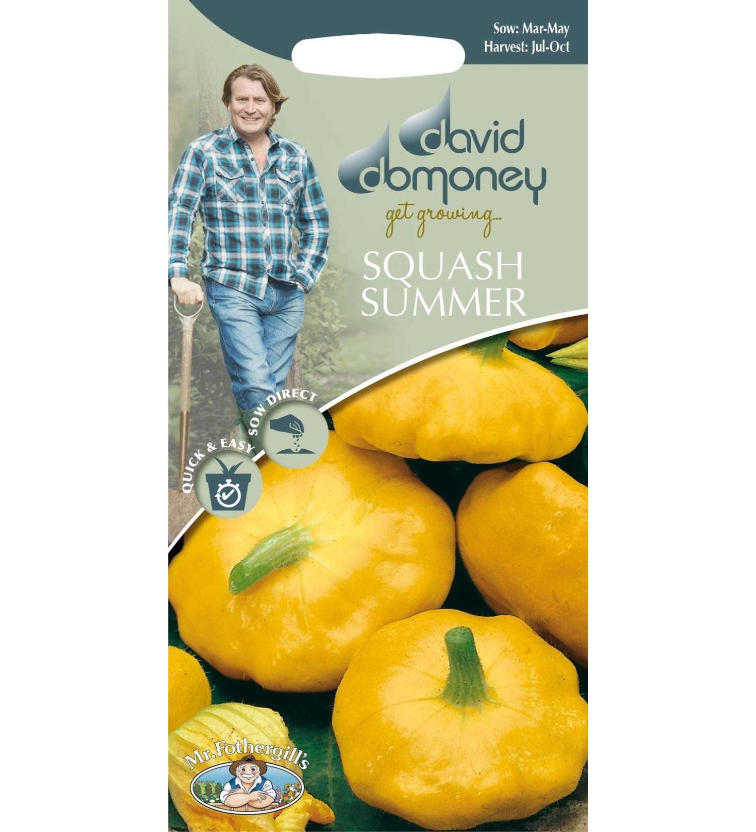 Portal Cool Mr - Vegetale - David Domoney Zucca di Estate - Sunburst - 10 Semi