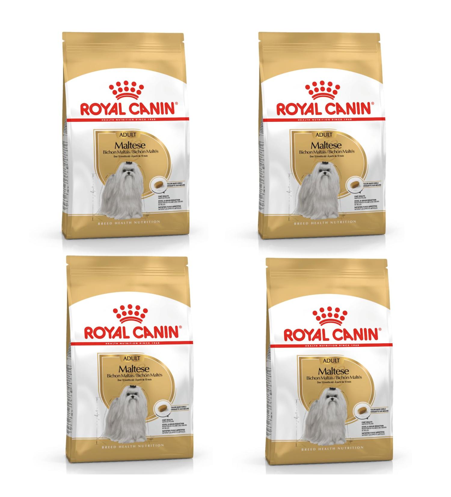 Royal Canin Maltese Adult | Pack of 4 | 4 x 500 g | Kibble for Maltese Adults | to Support Coat and Digestion | for Dogs from 10 Months - Buy Online on GoSupps.com