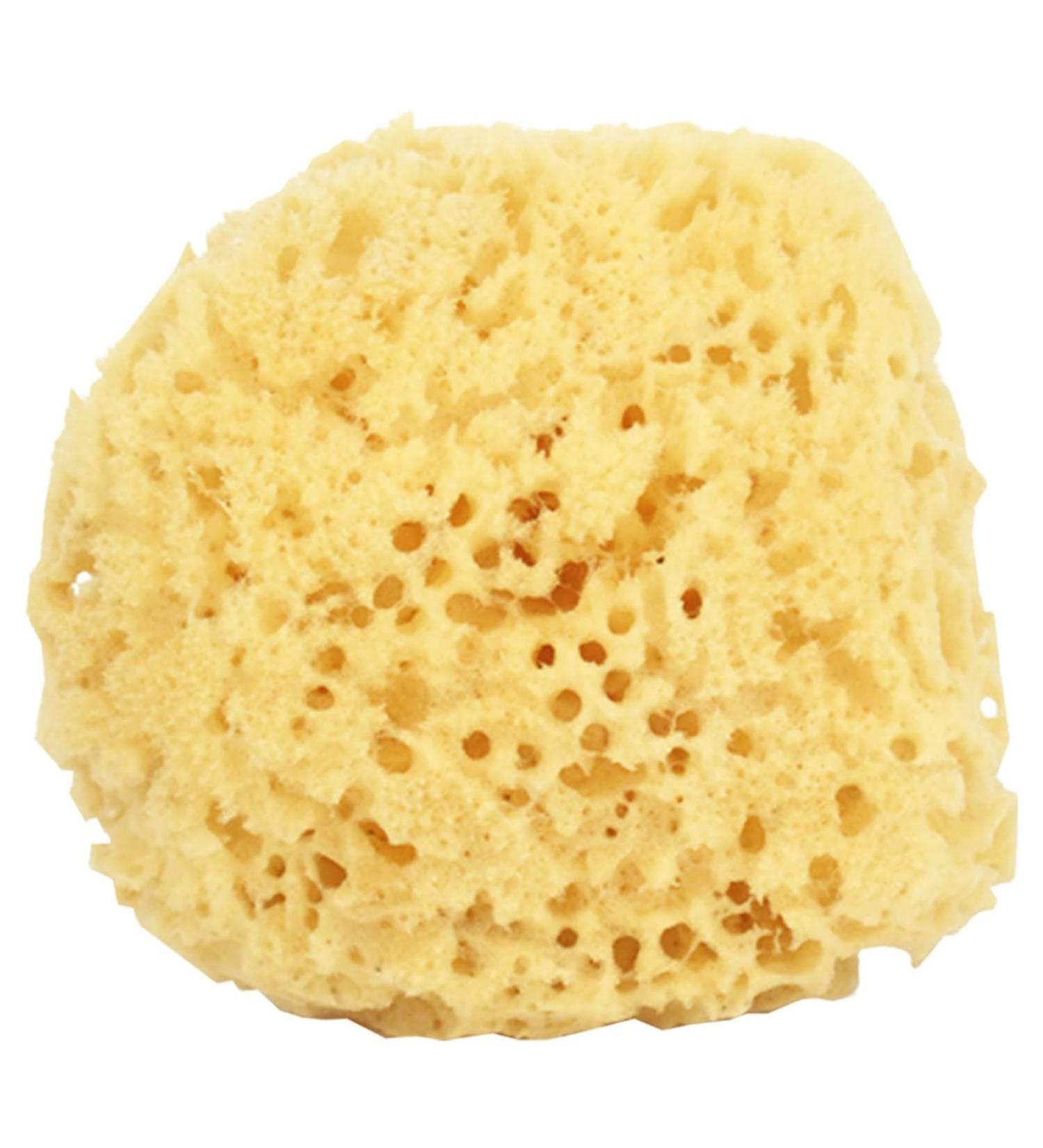 JYTDBCS 2X Large Soft Honeycomb Bath Sponges Bath Sponge Large - Buy Online on GoSupps.com
