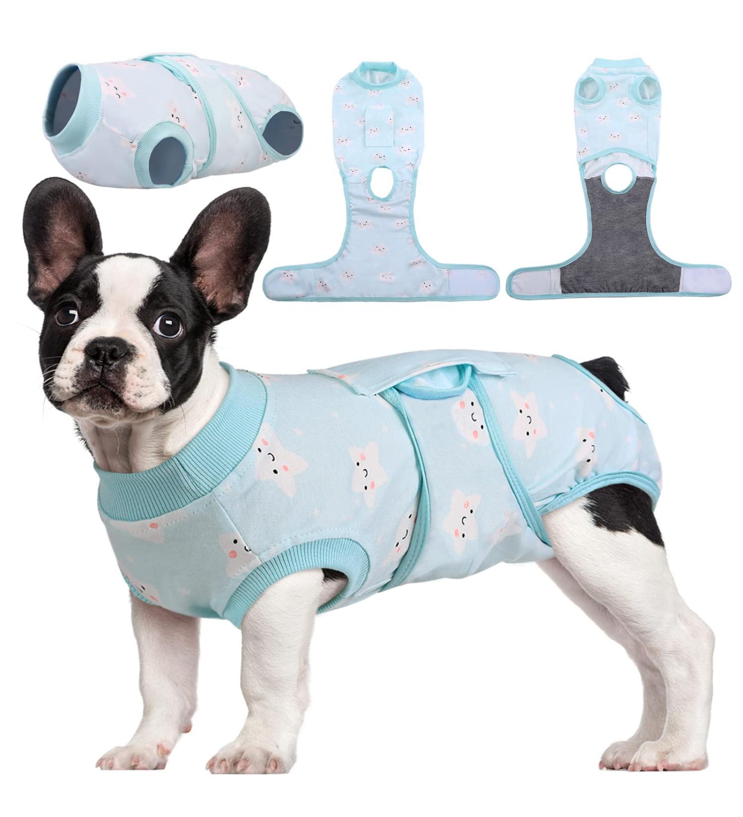 Kuoser Dog Recovery Suit - Breathable Post-Op Body for Male & Female Dogs | Leakage Protection & Anti-Licking Design | Green Star (1 Pack) - Buy Online on GoSupps.com