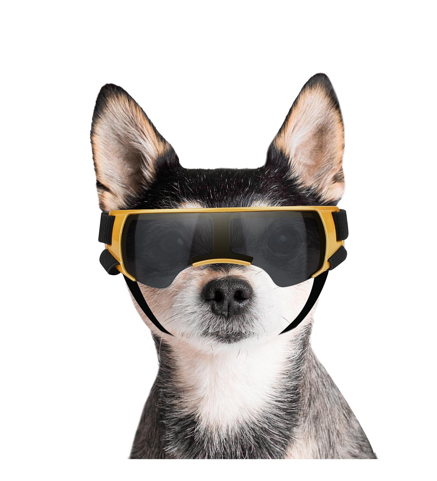 Petleso UV Protection Glasses for Small Dogs - Wind & Eye Protection Sunglasses for Motorcycle & Dog Bike Basket - Buy Online on GoSupps.com