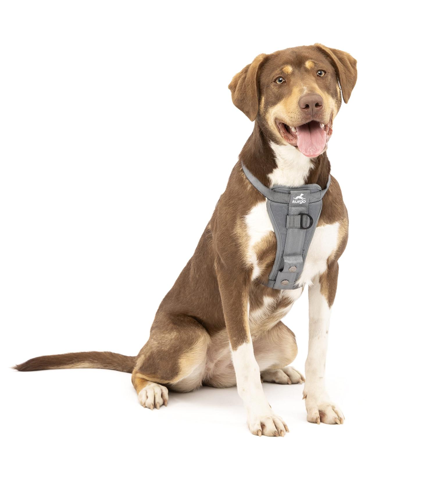 Kurgo Tru-Fit Dog Harness - Crash Tested Car Seat Belt for Dogs 2-5 kg Size M Gray - Safe & Comfortable Travel - Buy Online on GoSupps.com