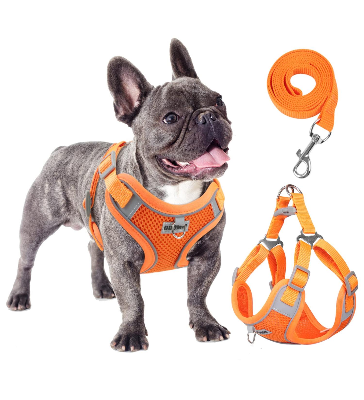 Rennaio Adjustable No-Pull Dog Harness & Leash Set - Ultra Breathable Padded Harness for Small & Medium Dogs (Pumpkin XL) - Perfect Puppy Dishes with Linen Clips - Buy Online on GoSupps.com
