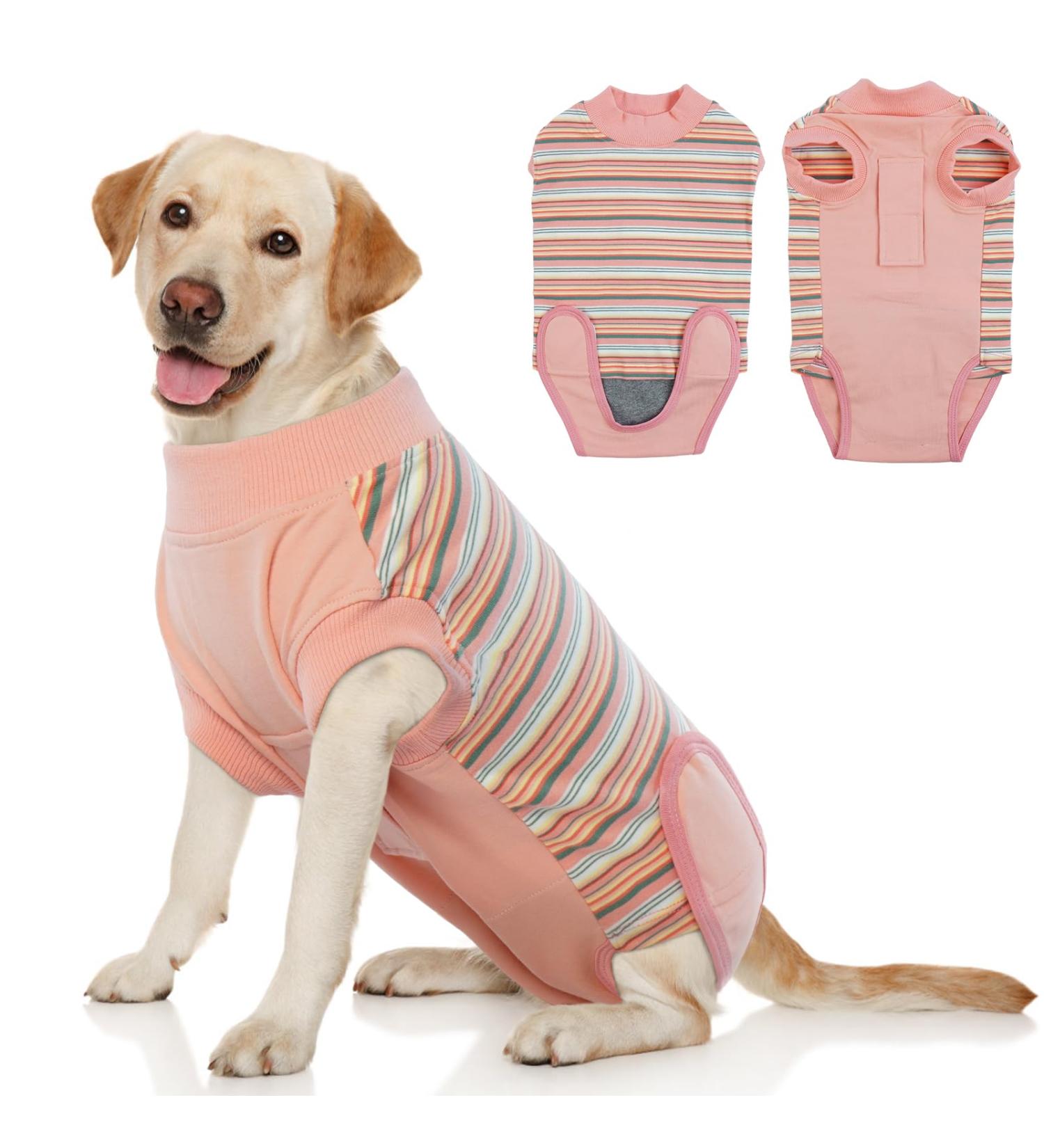 Optimized Breathable Dog Surgery Body Suit - Post-Op Recovery for Small to Large Dogs | Hjumarayan Medical Bodysuit for Castration - Orange Striped XXL - Buy Online on GoSupps.com