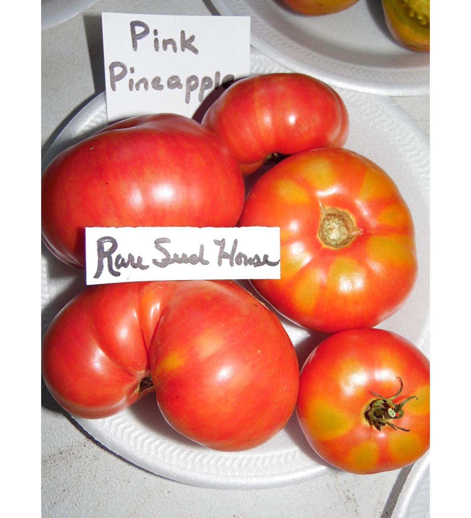 Pacchetto semi: Rosa Pine Tomato - 20 Semi! Grande Dolce di frutta!