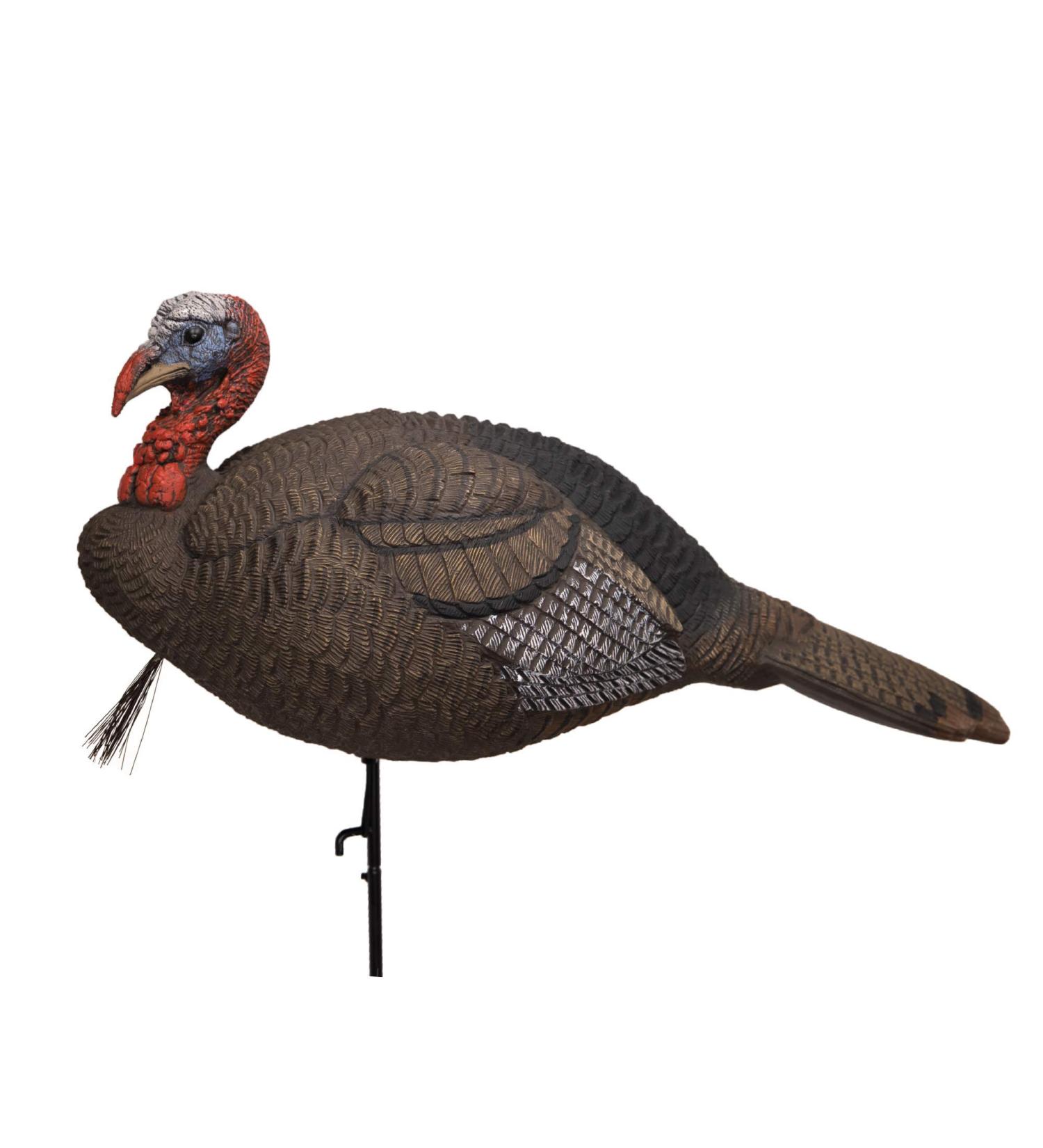 Lucky Duck Turkey Decoys HD Collapsible Jake - High-Quality Hunting Decoy - Buy Online on GoSupps.com