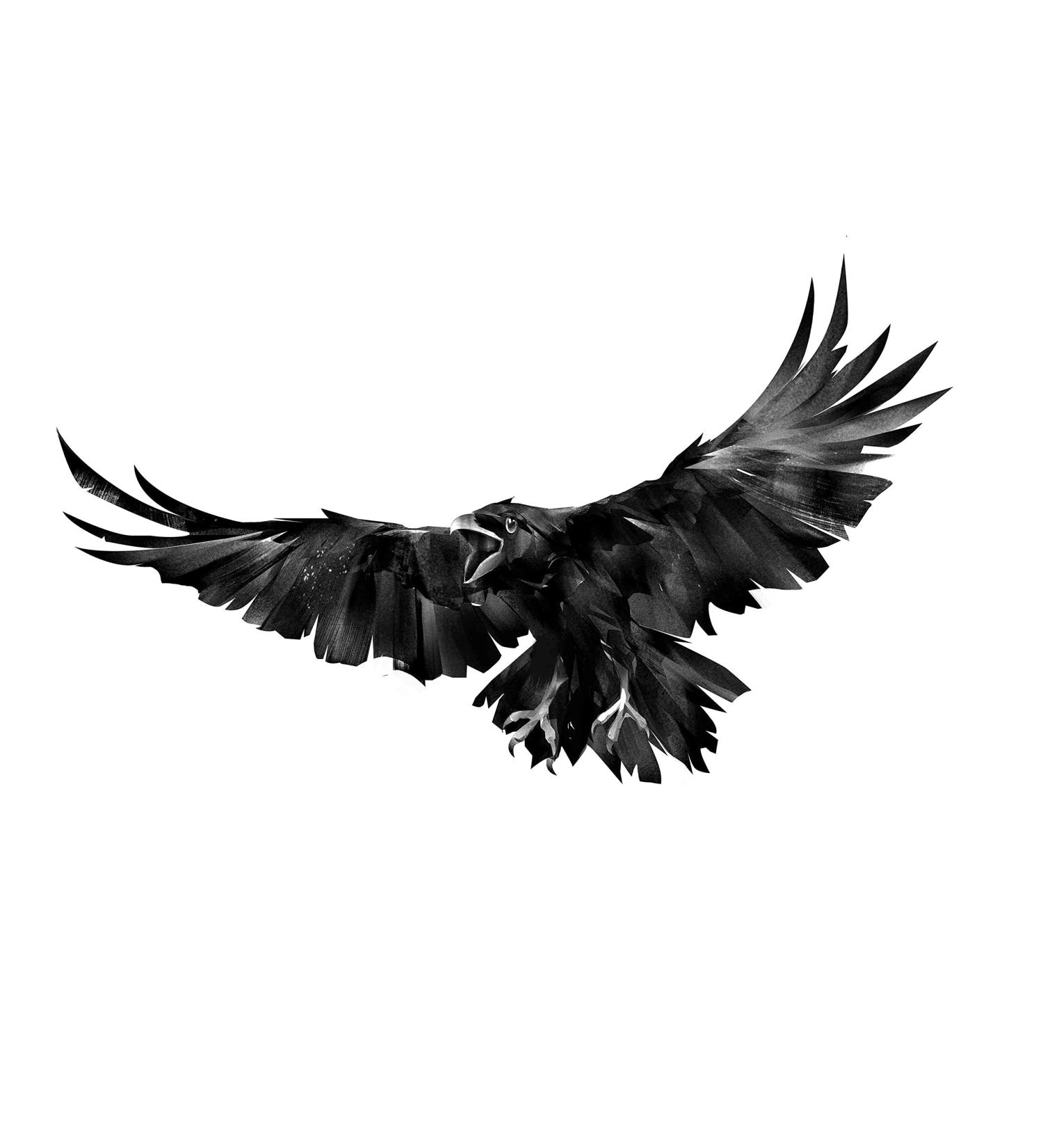 DopeTattoo 6 Sheets Temporary Raven and Crow Fake Tattoos for Men and Women - Neck, Arm, Chest - Buy Online on GoSupps.com