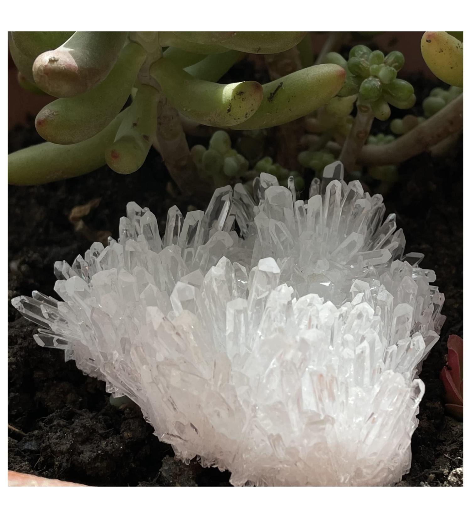 Natural Crystal Rough Natural Clear Quartz Crystal Cluster Minerals Reiki Stone Home Furnishing Decoration Decoration Natural Luster (Size : 300-400g) - Buy Online on GoSupps.com