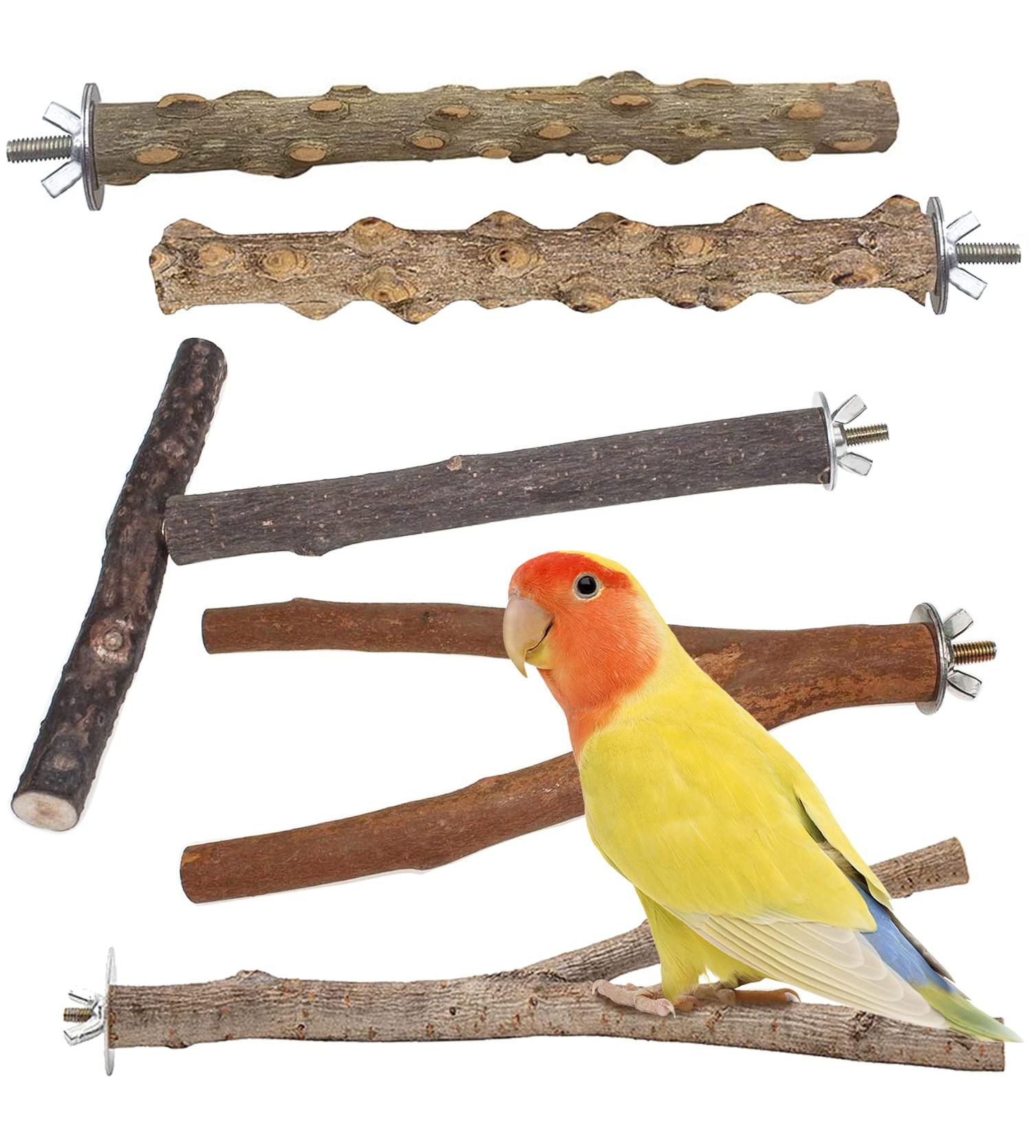 Bird Cage Accessories - 5-Part Set of Bird Toys Swing & Wood Seat Sticks for Parrots - Buy Online on GoSupps.com