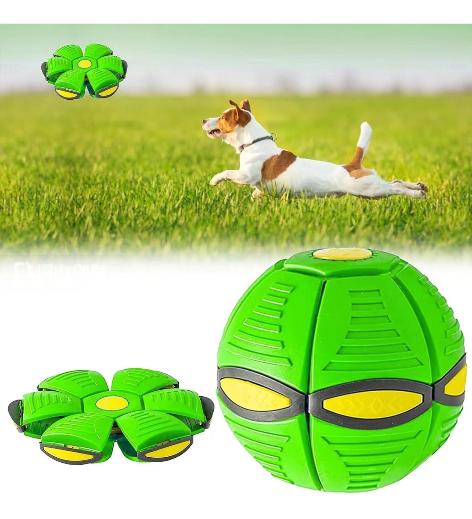 UFO Magical Flying Saucer Ball - Frisbee Dog Toys for Training & Play | Green - Buy Online on GoSupps.com
