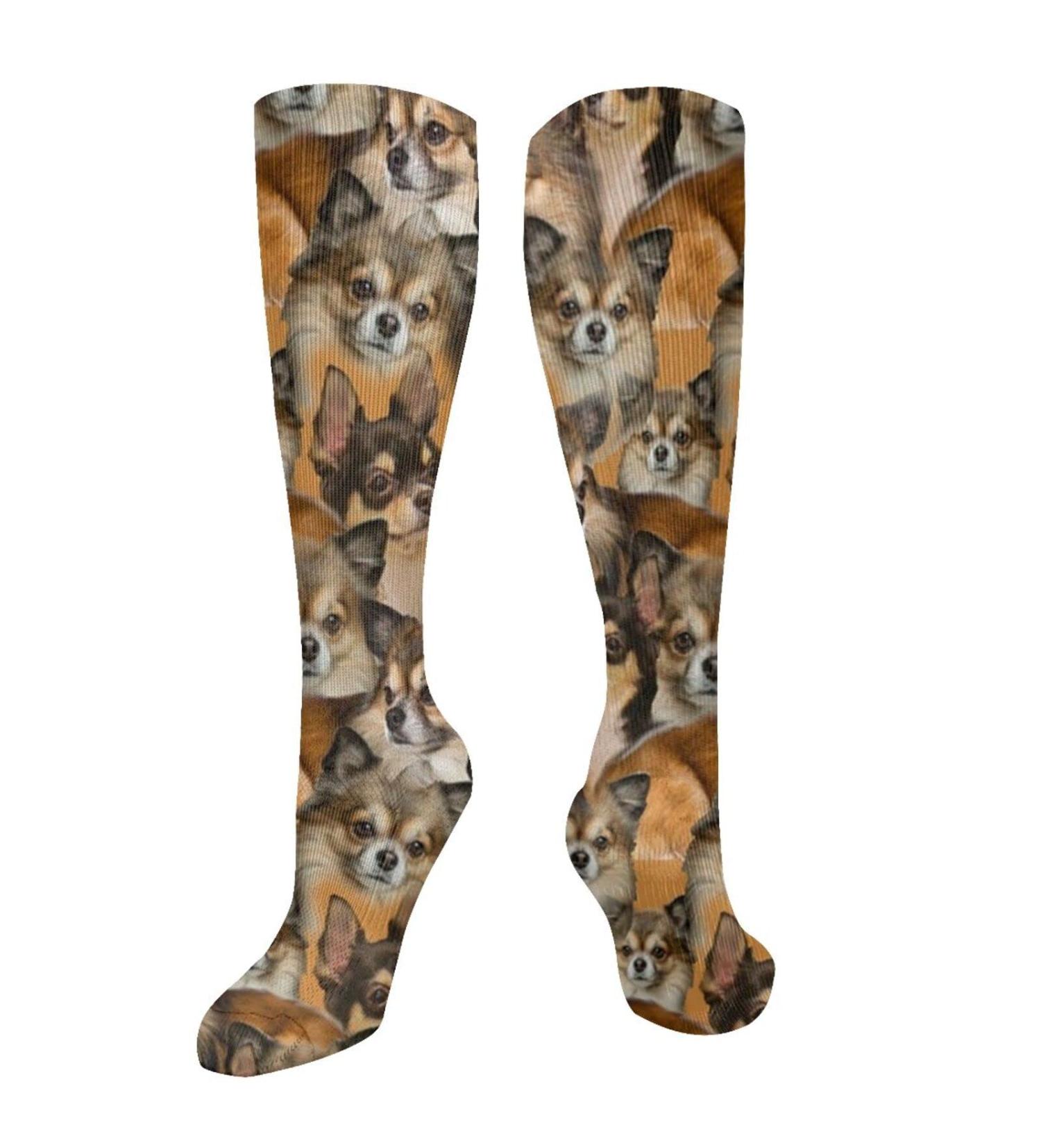 Chihuahua Dog Compression Socks for Men & Women - 15-20 mmHg Circulation Support for Running & Cycling - Buy Online on GoSupps.com