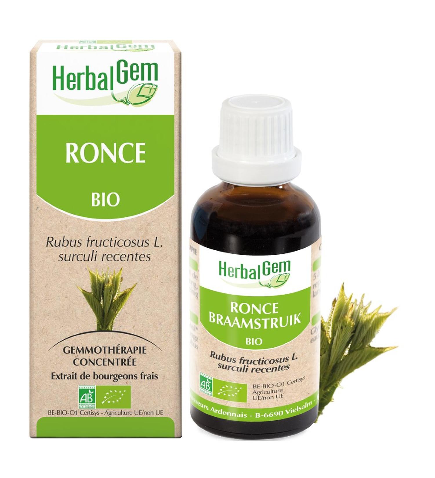 HERBALGEM - Macerate Mother - Organic Rice - Nutritional Supplement Gemmotherapy Concentrated - Fresh Bud Extract - For Respiratory Health and Blood Sugar Level - Vegan - 30 ml - Buy Online on GoSupps.com