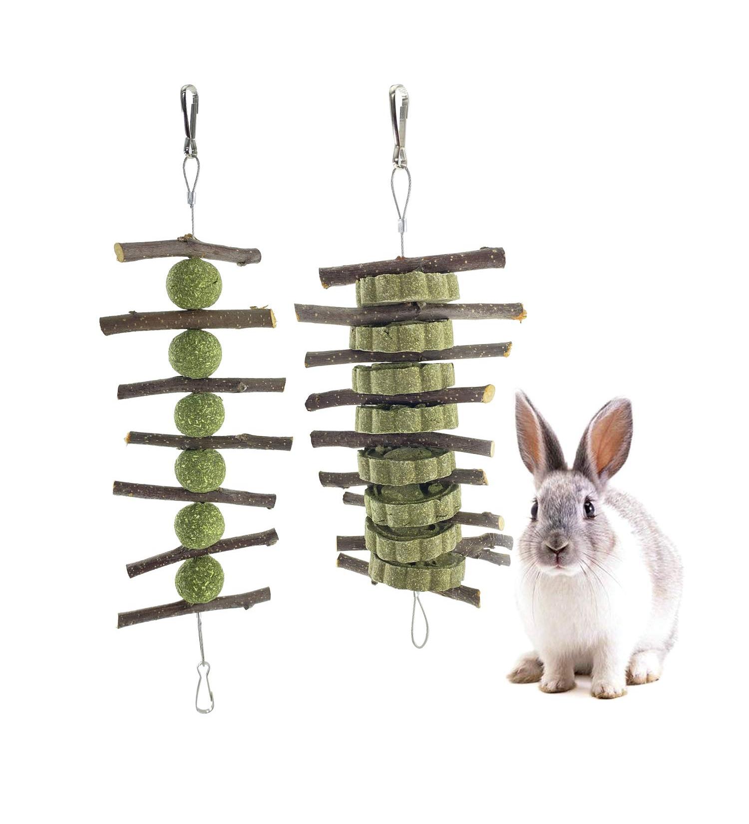 Bunny Chew Toy: Apple Wood Stick for Dental Health - 2 Pieces - Buy Online on GoSupps.com