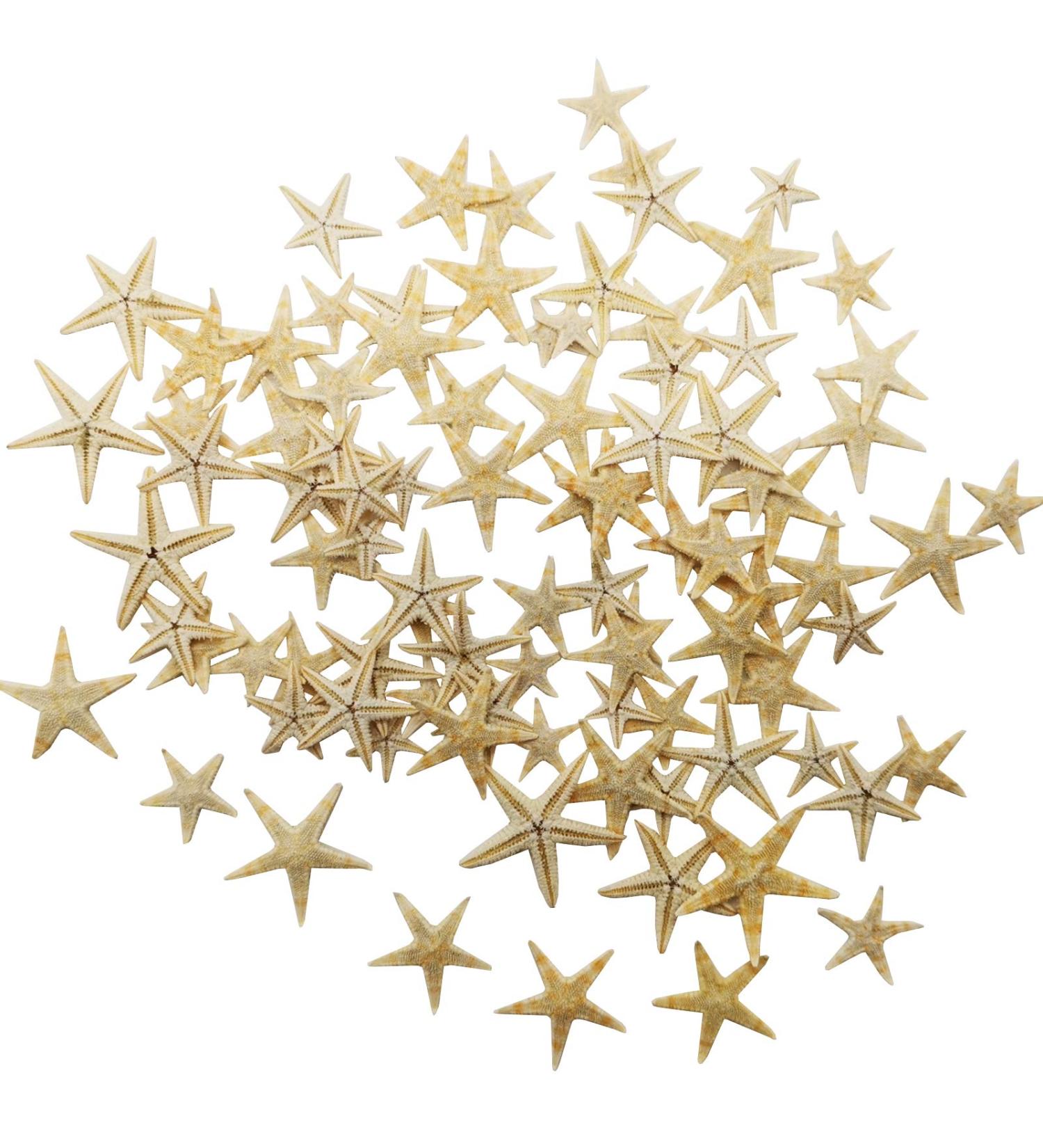 RONYOUNG 90PCS Small Starfish Star Sea Shell Beach Craft 0.4-1.2 - Buy Online on GoSupps.com
