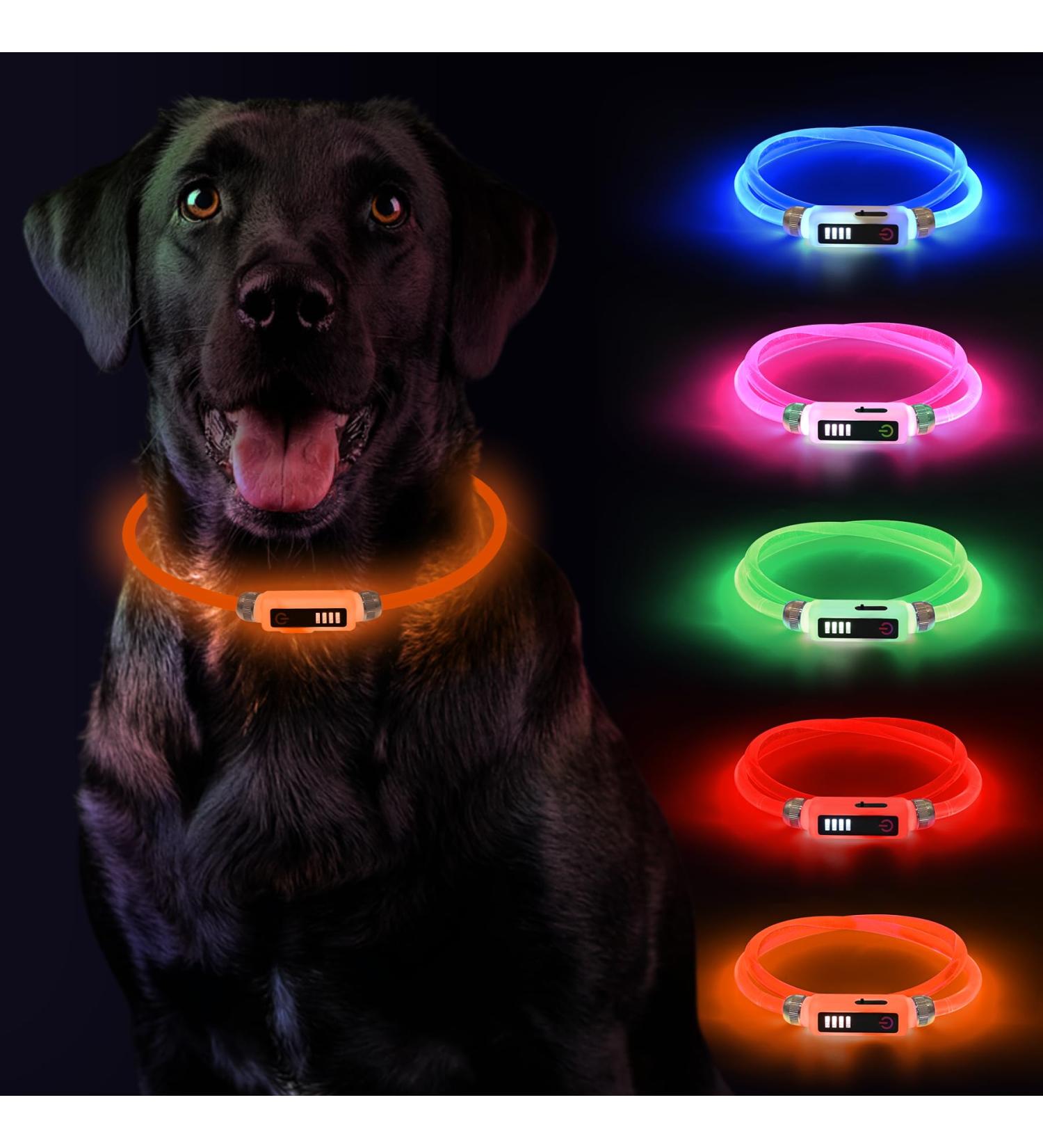 Luminous LED Dog Collar - USB Rechargeable Waterproof Adjustable Length | Yordawn Pet Safety Collar with Power Display & 3 Lighting Modes for Small & Medium Dogs & Cats - Orange - Buy Online on GoSupps.com