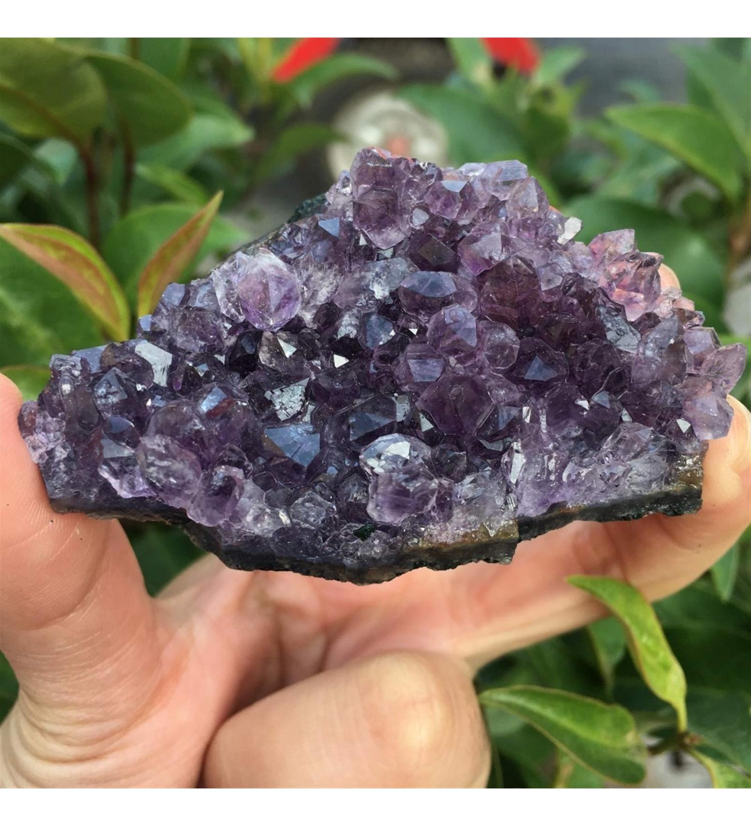 60-70g Natural Dream Amethyst Quartz Crystal Cluster Specimen Healing Reiki Stone Crystal Cluster - Buy Online on GoSupps.com