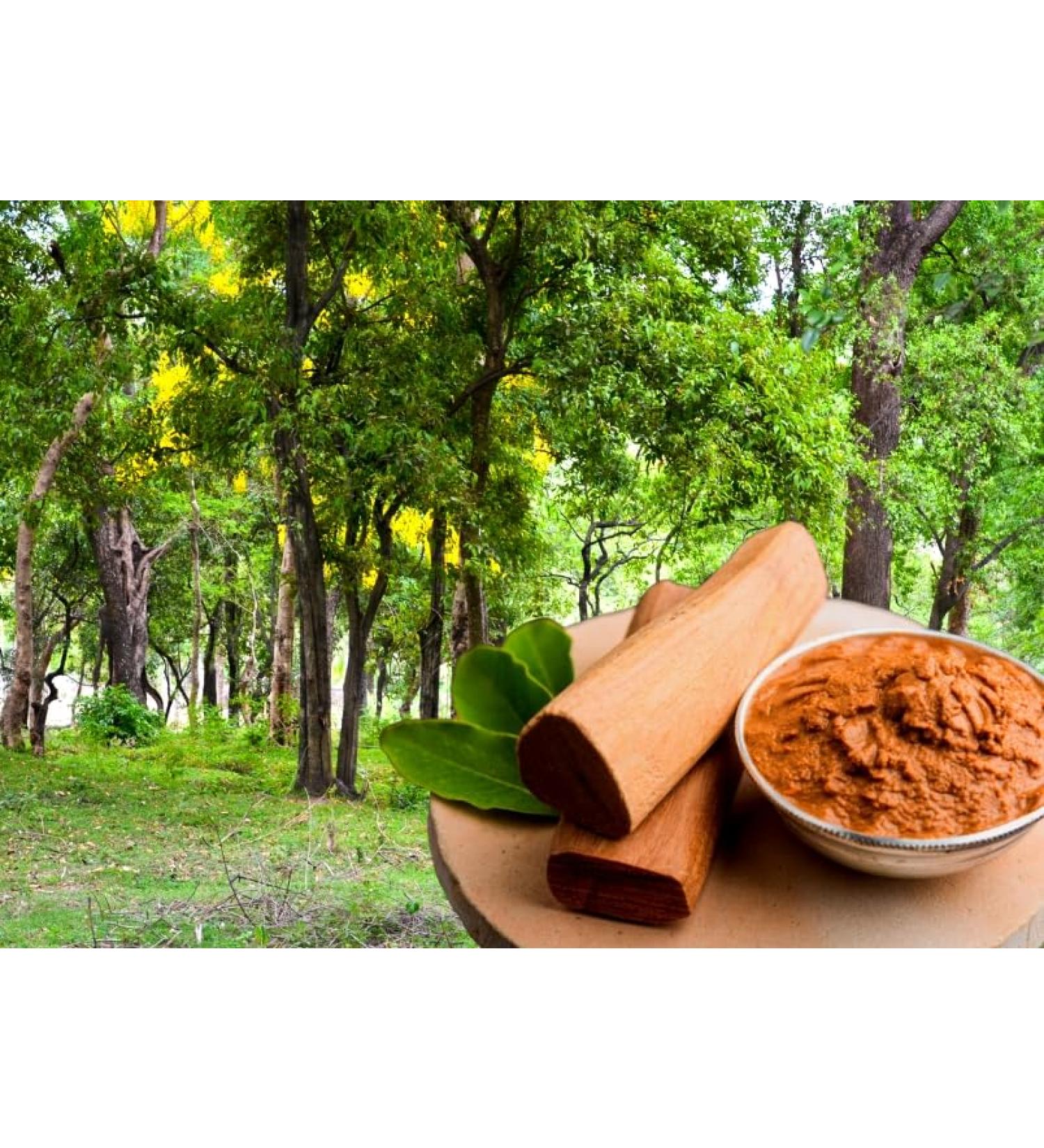 Sandalwood powder Pure natural Sandalwood powder 100g Chandan powder