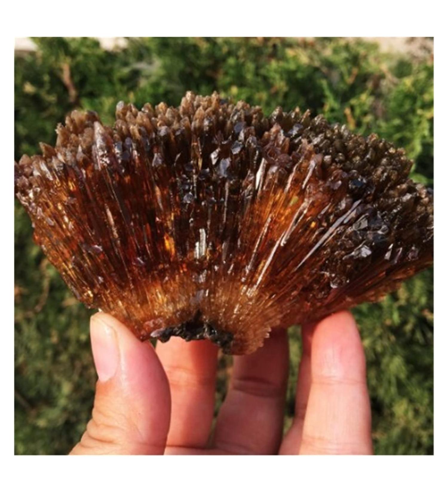 Gemstones and Crystals 50-400g Natural Yellow Amber Calcite Raw Stone Crystal Gem Collection of Rough Rock Specimens Home Decor QINTINYIN Stone Mineral Specimen (Color : 250-270g) - Buy Online on GoSupps.com