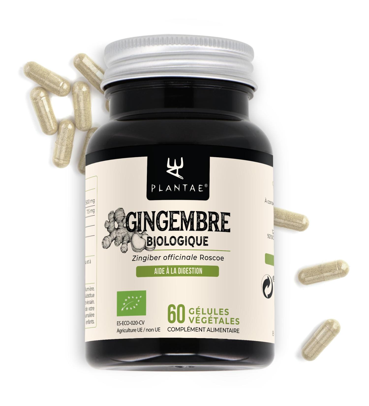 Ecological Ginger * Plantae * 60 Vegetable Capsules * 1.5% Gingerols & Sogaols * Digestion + Immune System + Cardiovascular Health + Dizziness