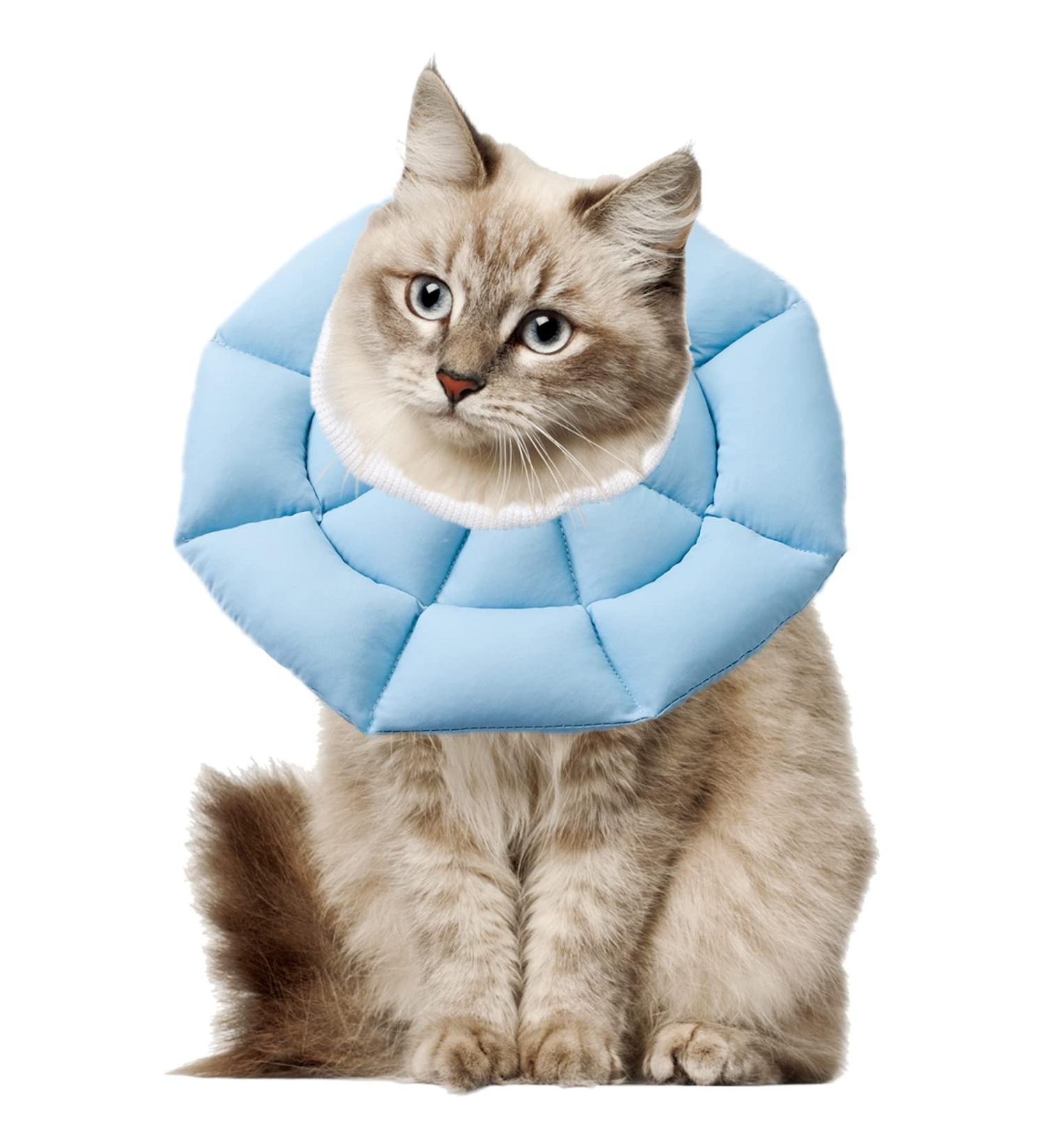 Ohcozzy Adjustable Neck Rope Cat Collar - Soft Anti-Leak Protective Collar for Post-Operation Pets (Size M Light Blue) - Buy Online on GoSupps.com