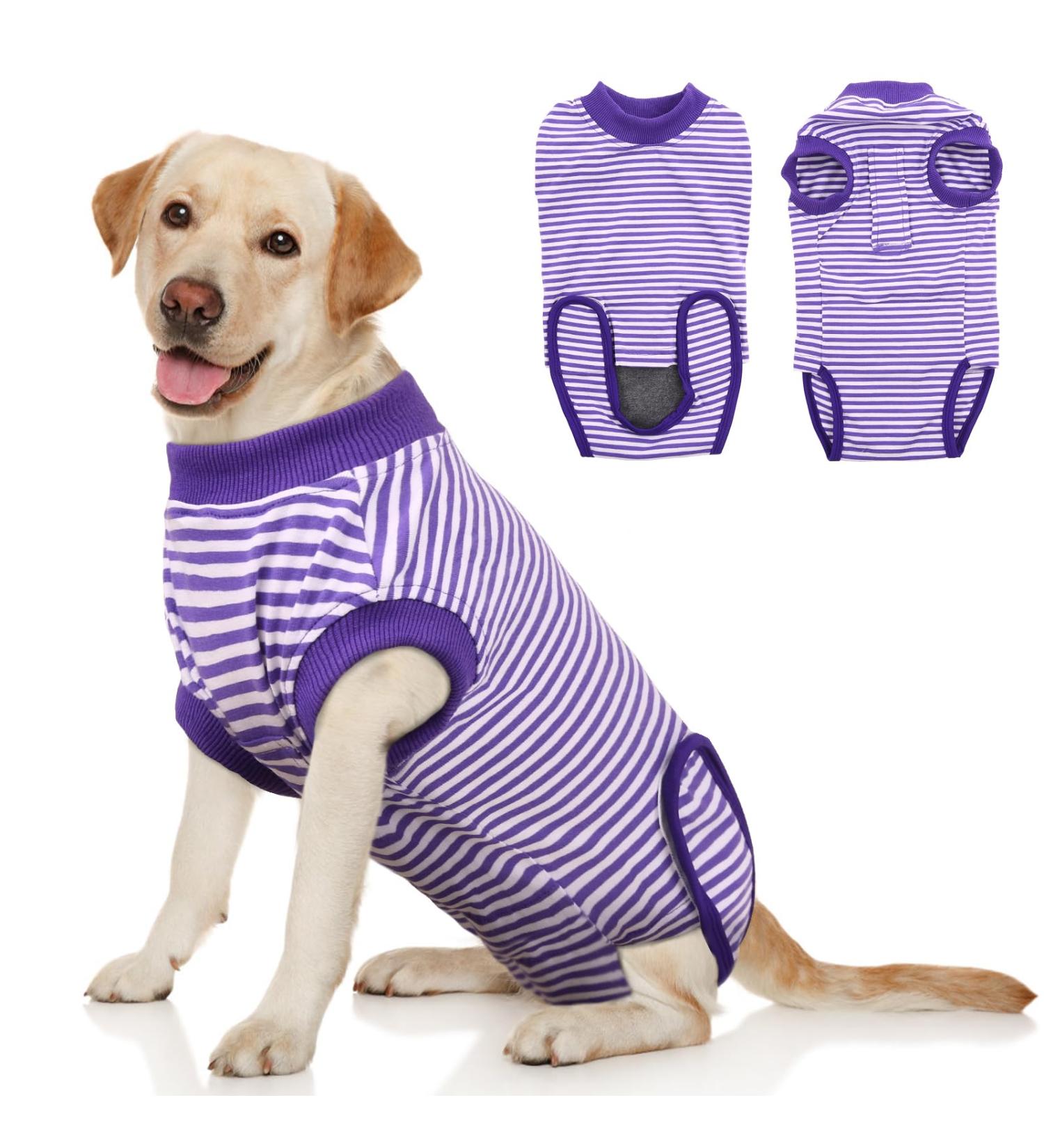 HJUMARAYAN OP BODY DOG | Breathable Post-Op Dog Shirt with Velcro | XL Purple Striped Medical Pet Shirt for Bitches - Comfort After Surgery - Buy Online on GoSupps.com