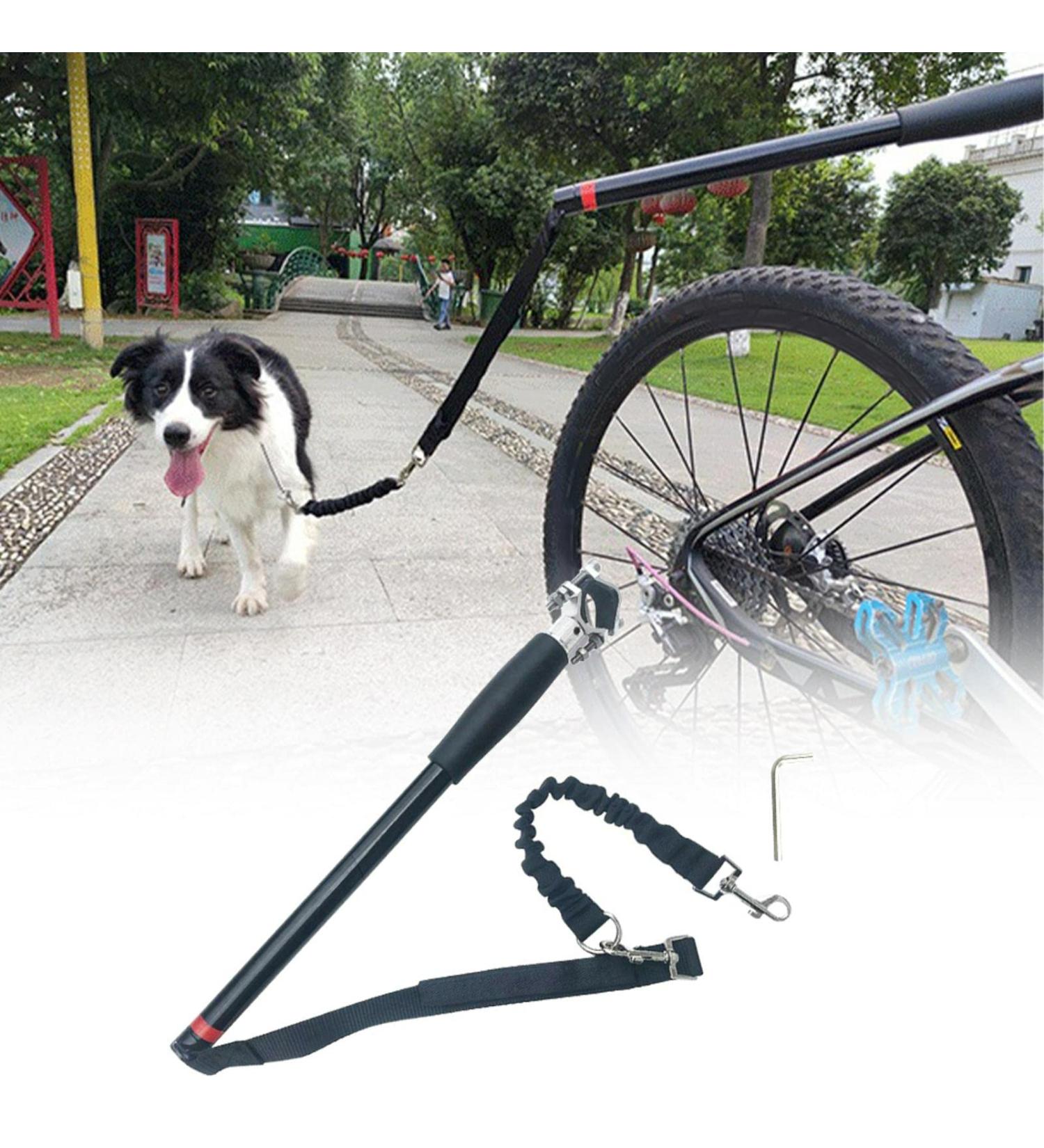 Hands Free Dog Bike Leash Elastic Nylon Retractable Dog Bicycle Exerciser Leash Easy Installation and Removal Dog Bicycle Exerciser Leash for Exercising Training Jogging Cycling Safe with Pet(Black) - Buy Online on GoSupps.com
