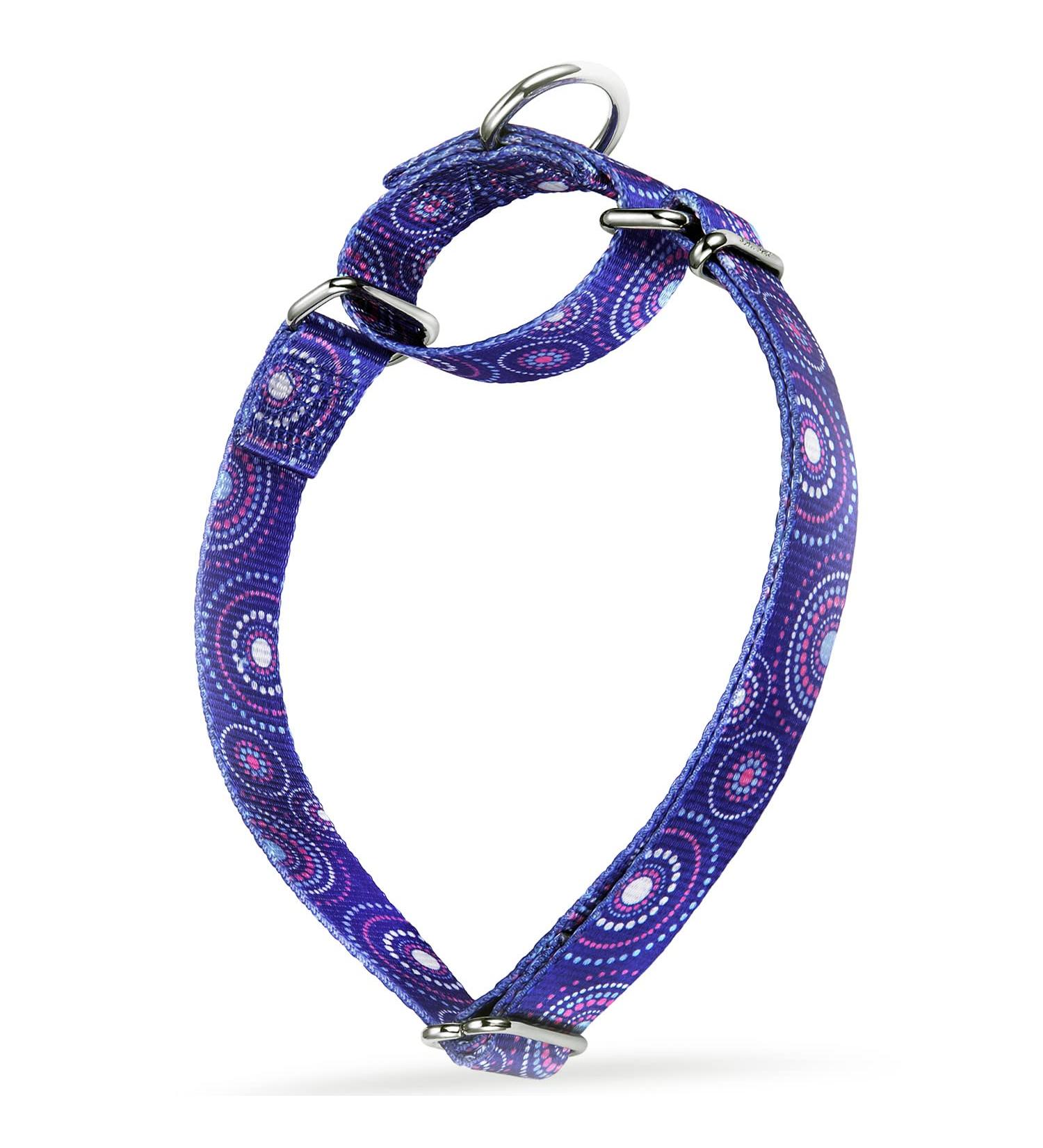 Dazzber Martingale Collar for Dogs - No Pulling Durable Design Fireworks Pattern King Blue - Small 5/8 inch - Buy Online on GoSupps.com