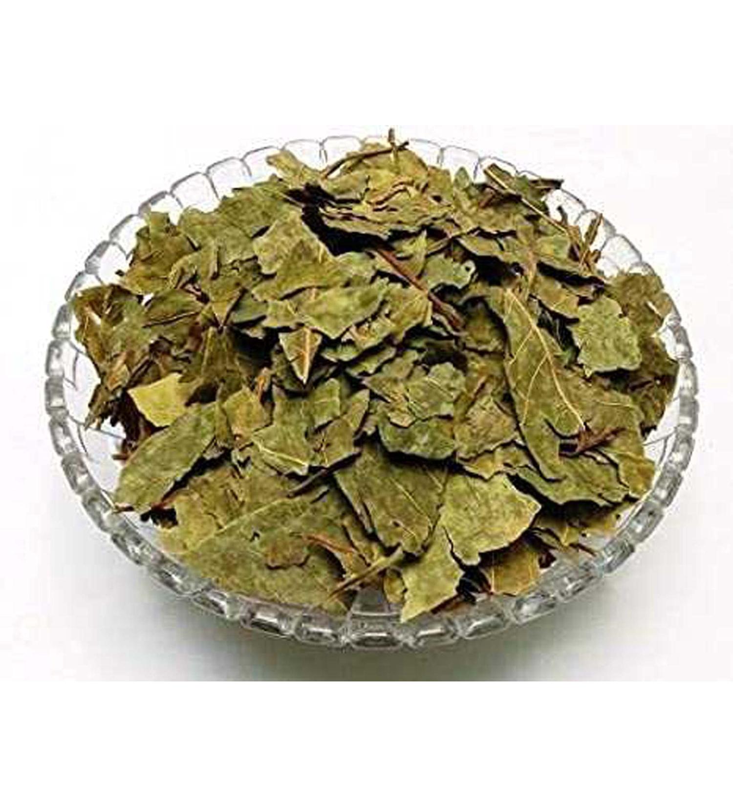 RAW HERB/JADI BOOTI BEL BAEL LEAVES BEL PATTA BEL PATRA BAILPATR BAIL PATR AEGLE MARMELOS (500GM) - Buy Online on GoSupps.com
