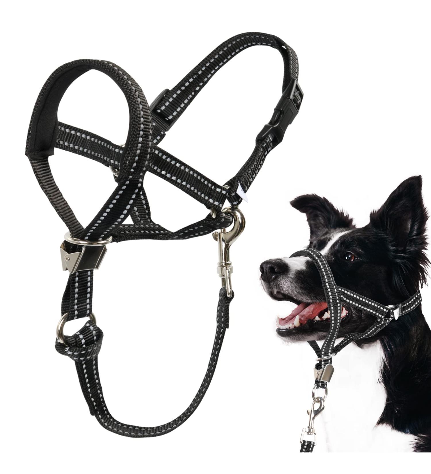 Barkeless Dog Collar - No Pulling Soft Halter for Medium & Large Dogs | Strong Training Solution with Safety Clip - Buy Online on GoSupps.com