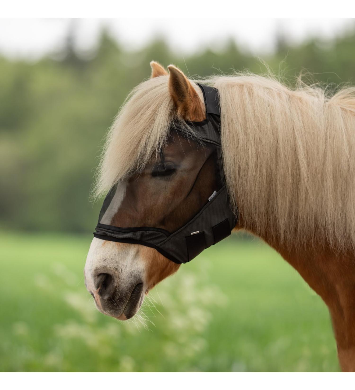 BUSSE fly mask FLY GUARD FREE Shetty black