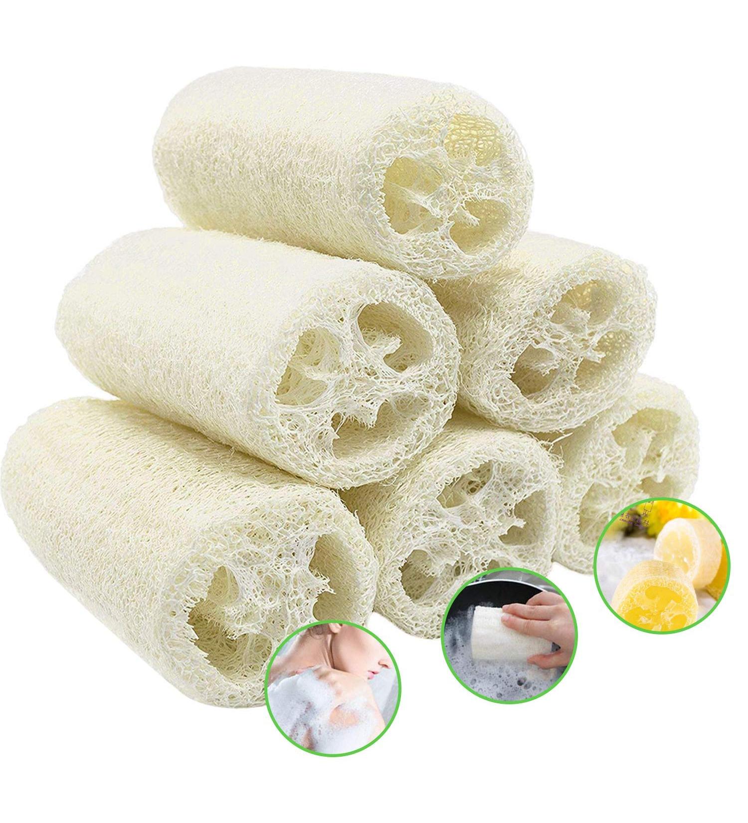 6 Pieces Natural Luffa Sponge Set | Exfoliate Dead Skin Ideal for Bath Shower & Kitchen Scrub | Eco-Friendly Personal Care & Decoration - Buy Online on GoSupps.com