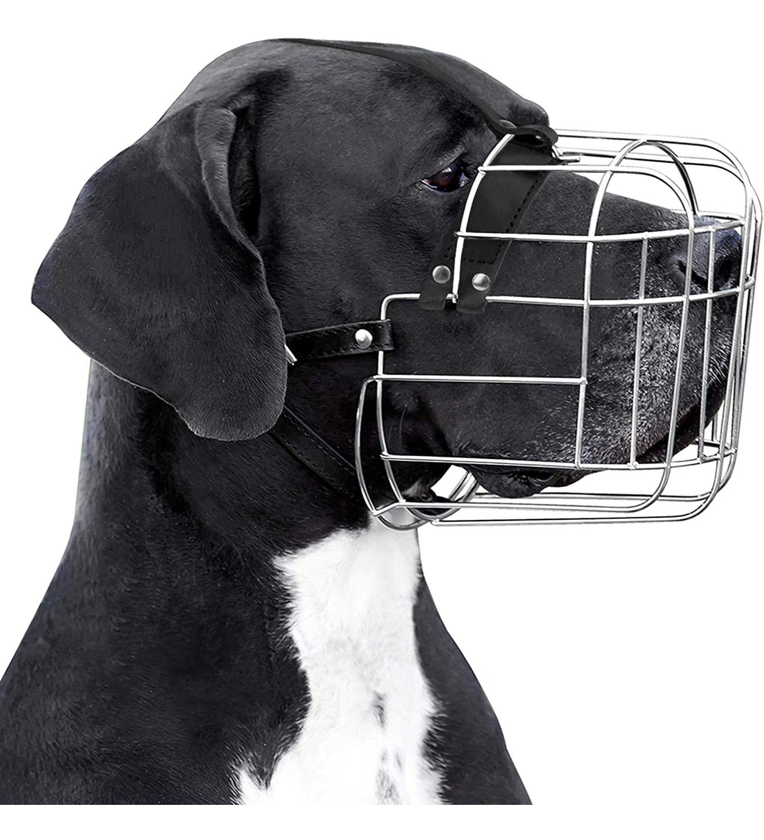 Bronzedog Metal Dog Muzzle for XL German Mastiffs & Bernhardiners - Breathable Wire Basket with Adjustable Leather Straps - Buy Online on GoSupps.com