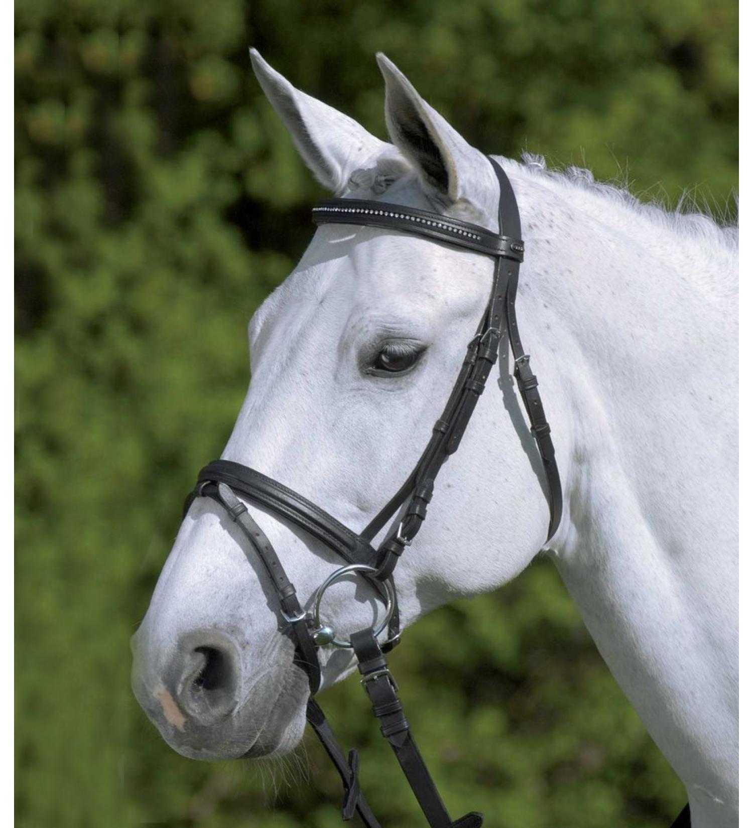 Star WALDHAUSEN Bridle Diamond fuchsia/multicolor Warmblood