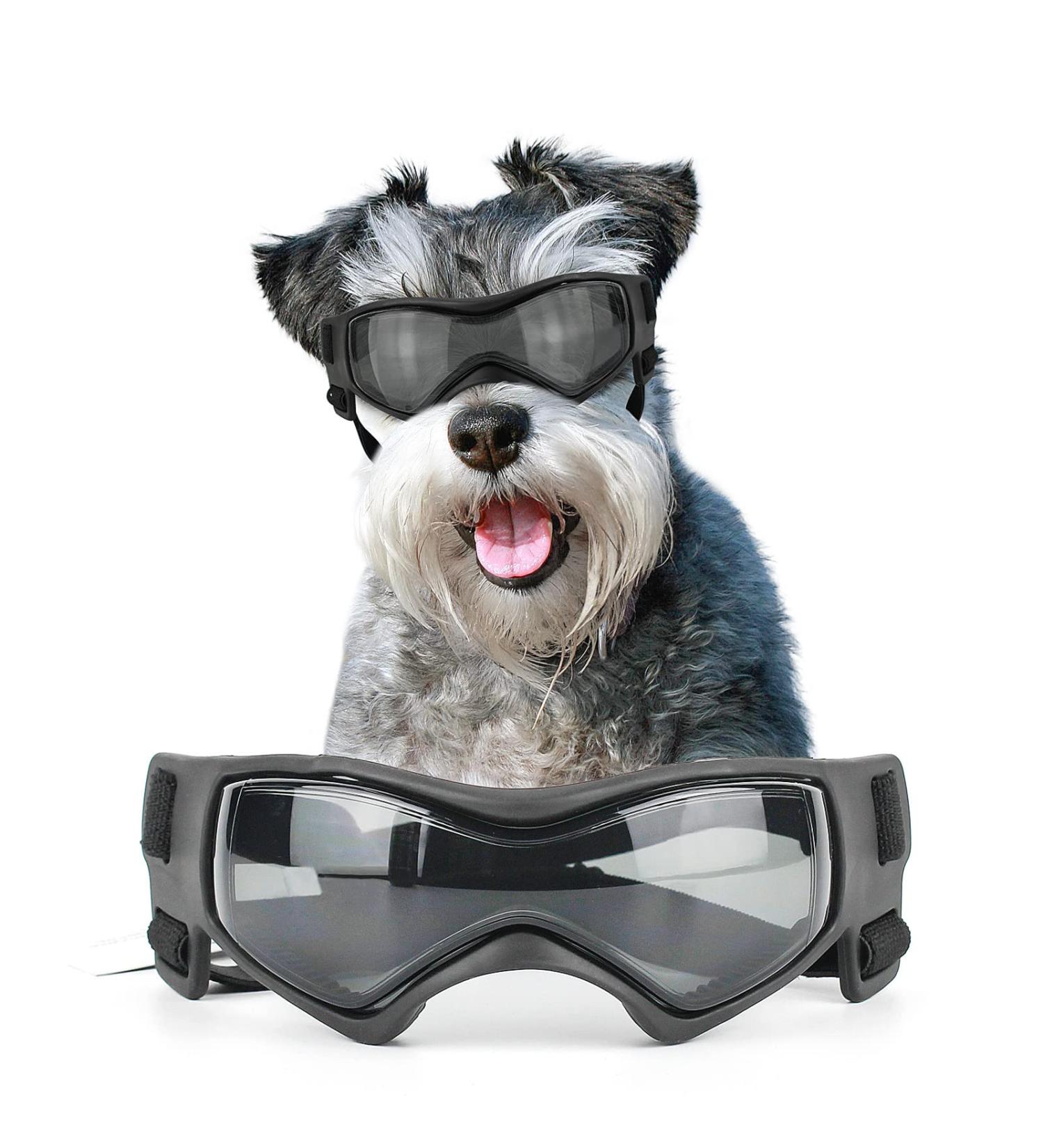 NAMSAN Medium Dog Goggles | Anti-UV Glare Sunglasses for Small to Medium Dogs | Adjustable Motorcycle Glasses for Doggy Eye Protection - Buy Online on GoSupps.com