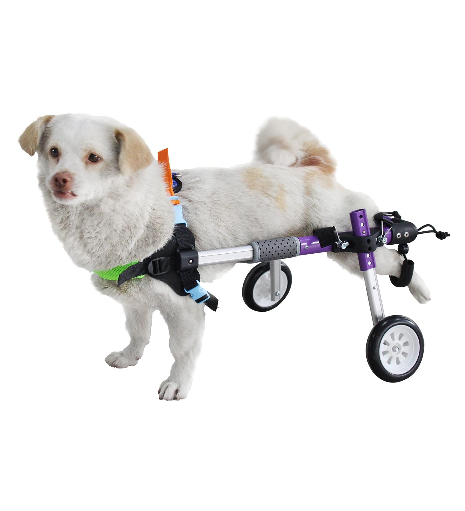 HeoBam Dog Wheelchair - for Small Dog Adjustable Dog Wheelchair for Hind Legs Rehabilitation Pet Rehabilitation Cart Handicap Wheels for Dogs Convenient Dog Wheelchair(XS(B)) - Buy Online on GoSupps.com