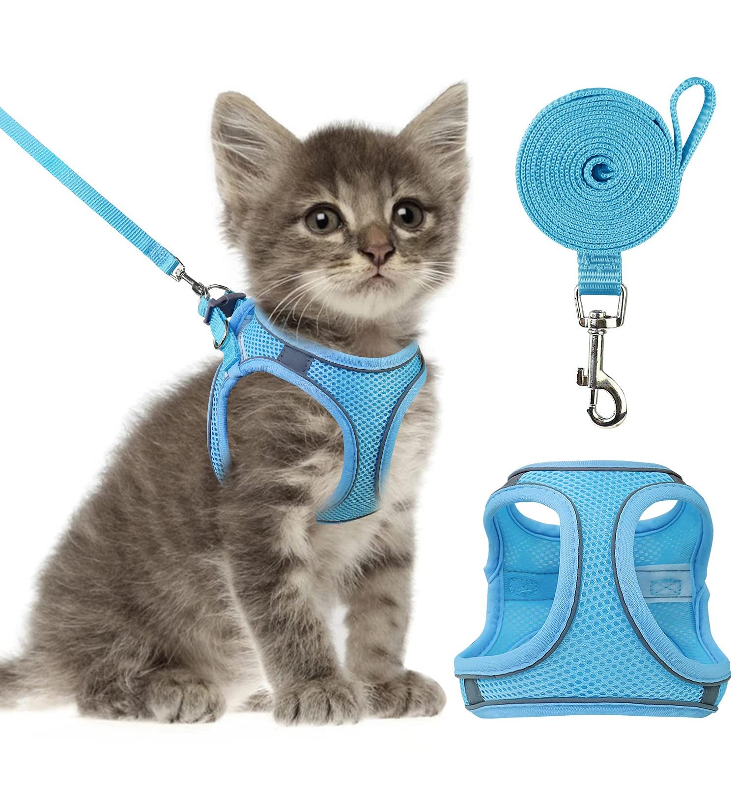 Reflective Mesh Cat Harness and Leash Set - Escape Proof Kitten and Puppy Vest - Comfort Fit and Lightweight - Easy Control - Small Blue - Buy Online on GoSupps.com